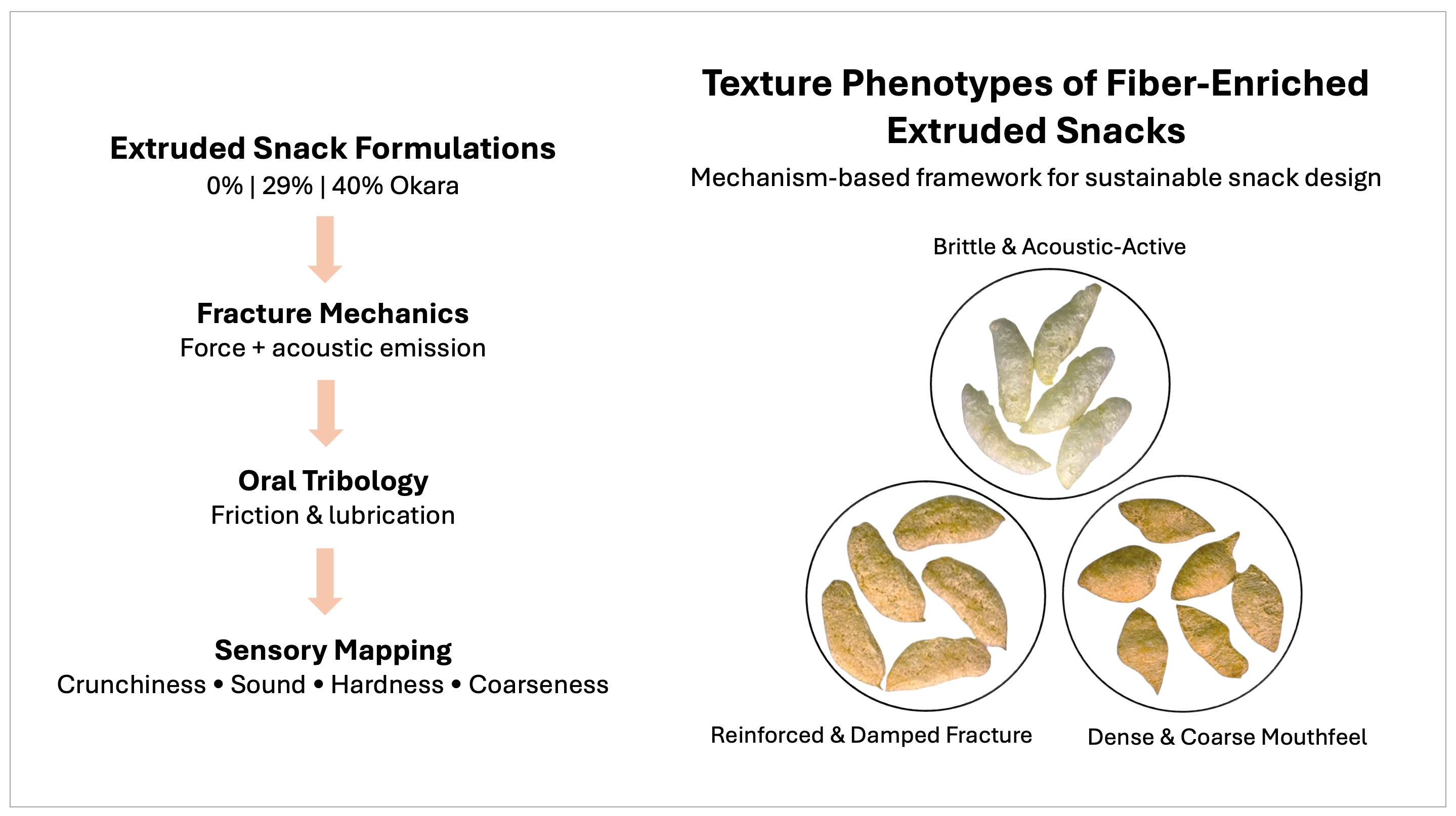 Stringiness Texture Phenotypes of Fiber-Enriched Extruded Snacks Revealed by ...