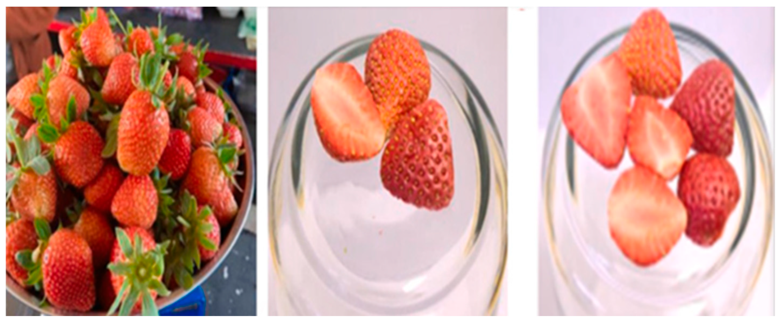 Application of Freeze-Drying Technology in the Food Industry: A Review