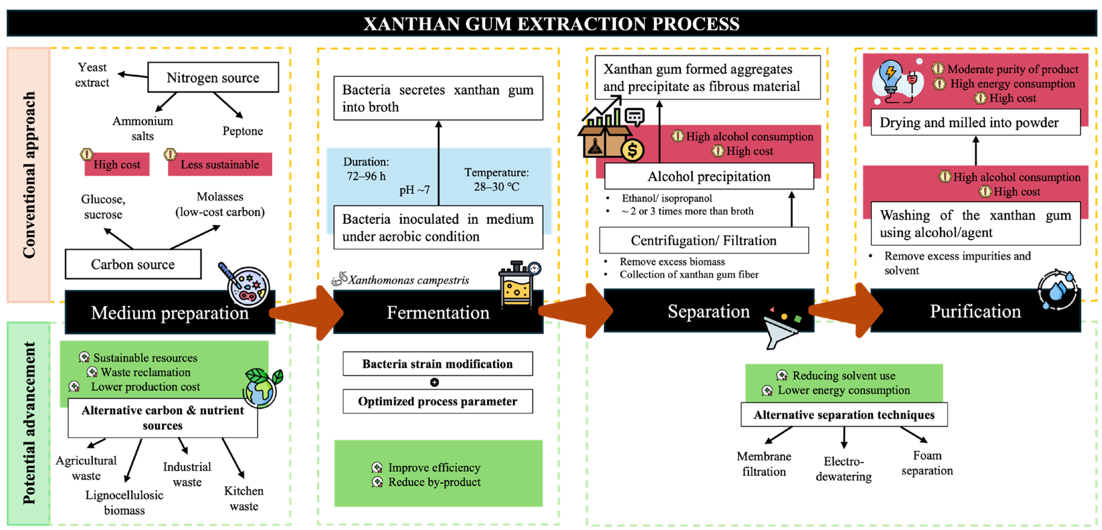 Substrates Production Manager Toward Sustainable Xanthan Gum Production: Waste-Derived Substrates ...