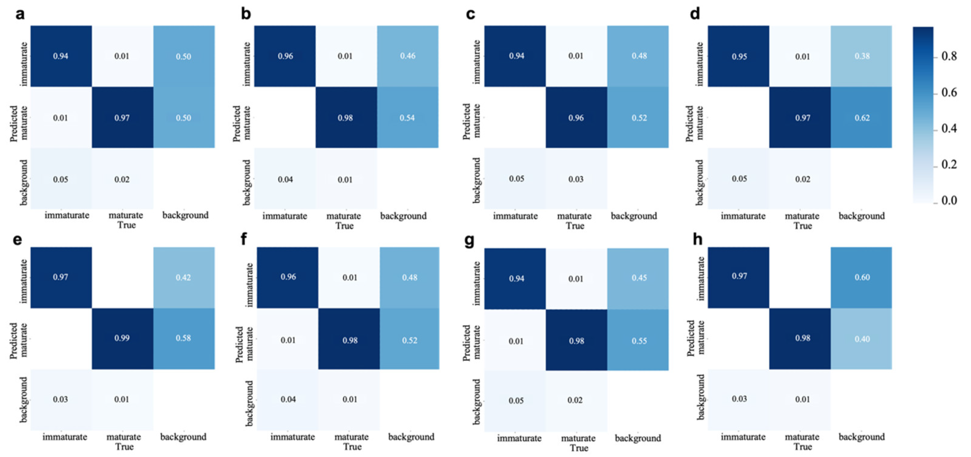 A Multi-Scale Dense Perception and Scale-Adaptive Approach for ...