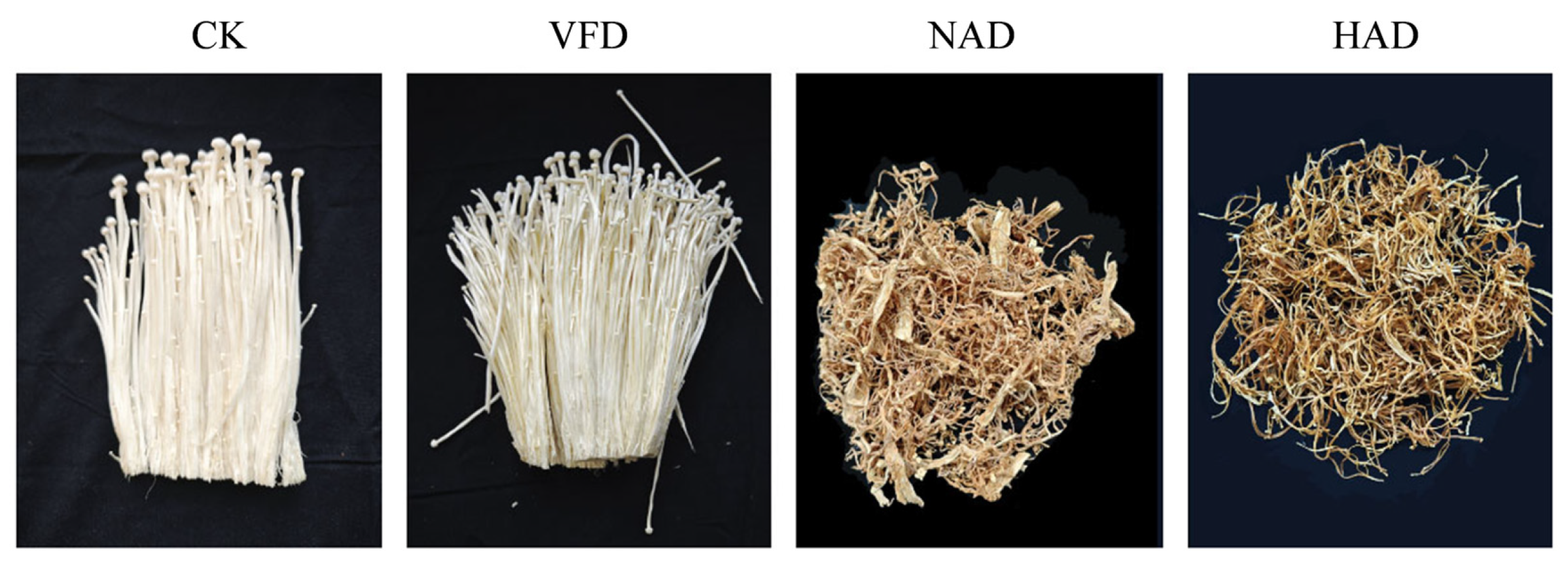 Effects of Various Drying Techniques on the Quality Attributes and ...