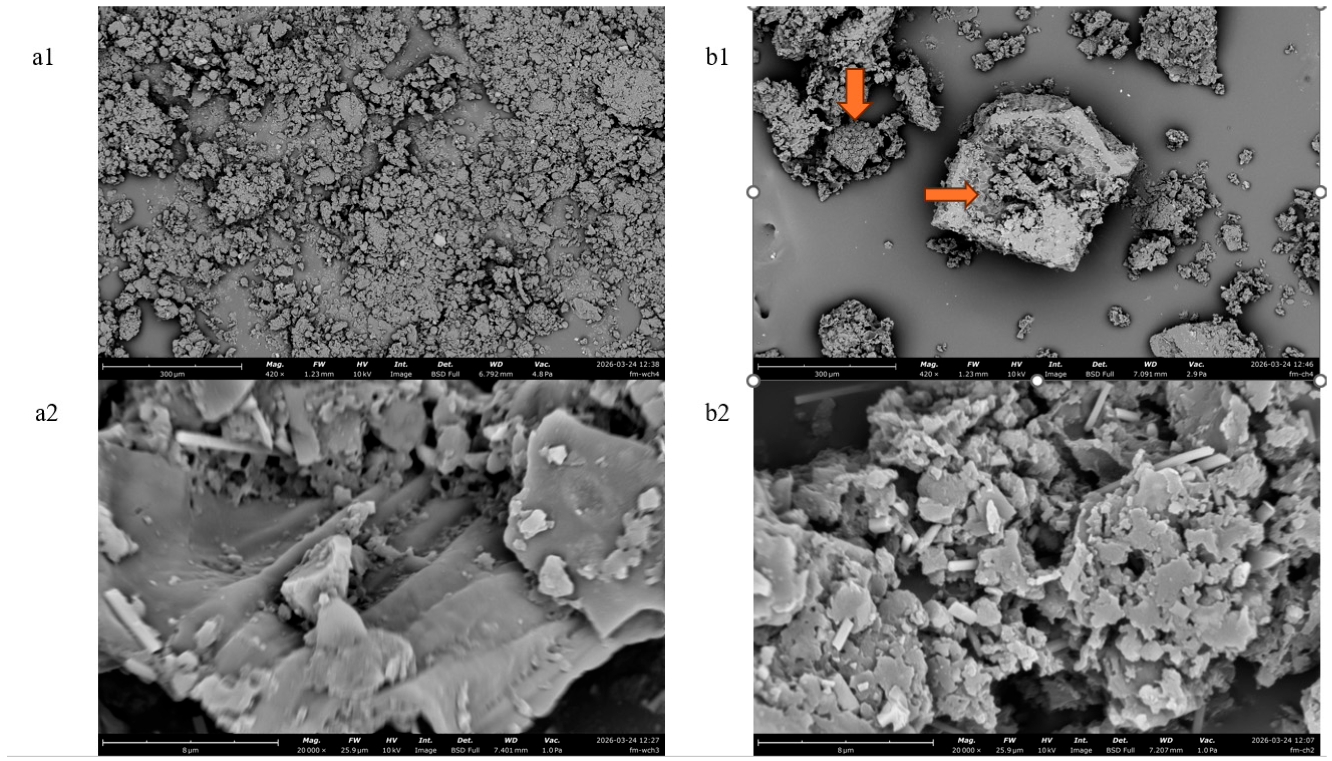Curated visual reference: Picture Idea: Optimization Of Proanthocyanidin Extraction From Grape Seeds Using