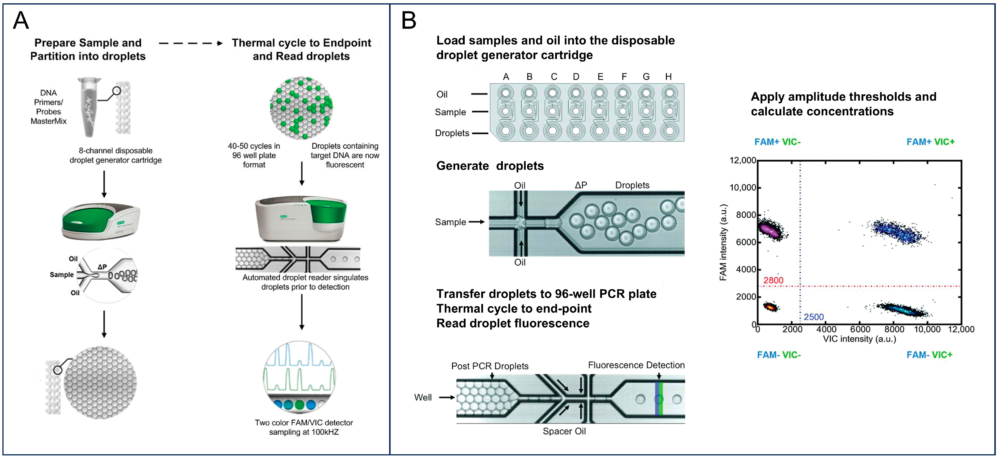 Advances of Digital Detection for Foodborne Pathogens