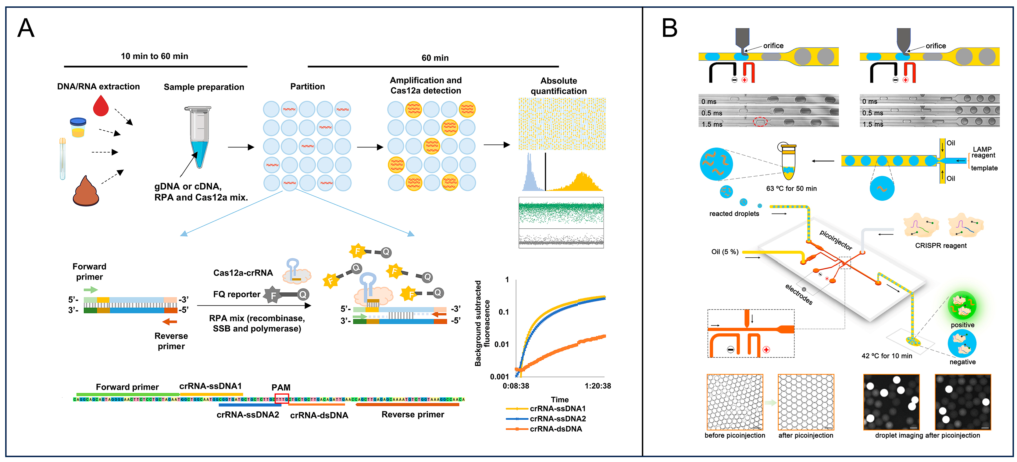 Advances of Digital Detection for Foodborne Pathogens