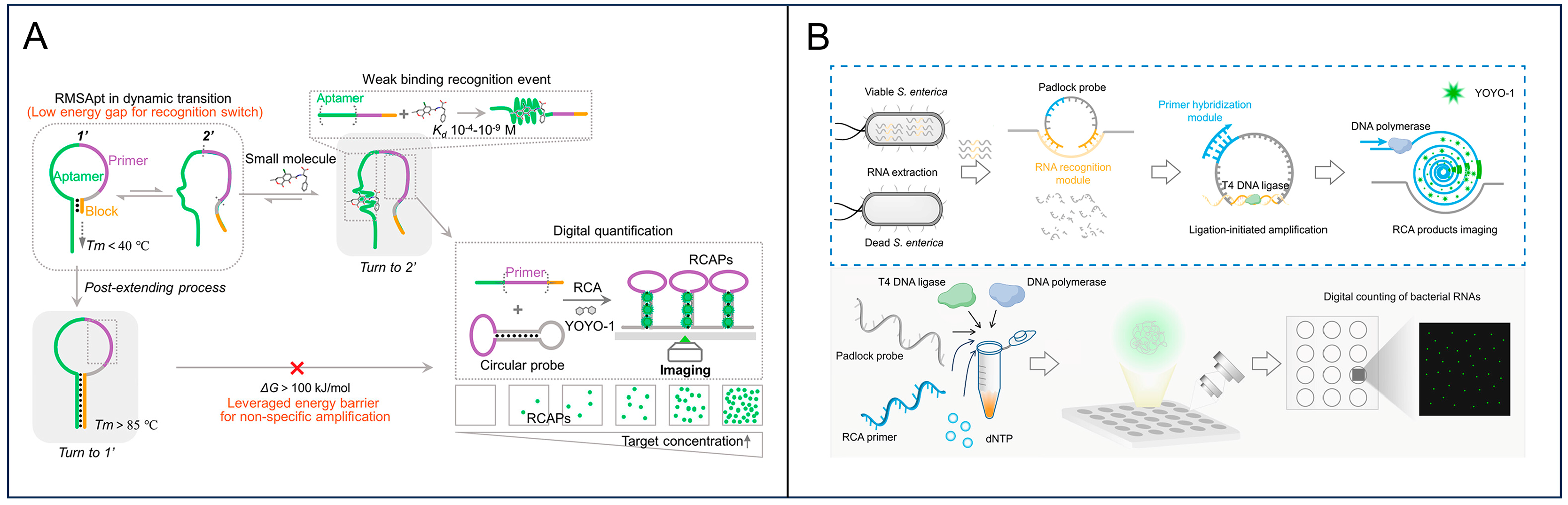Advances of Digital Detection for Foodborne Pathogens