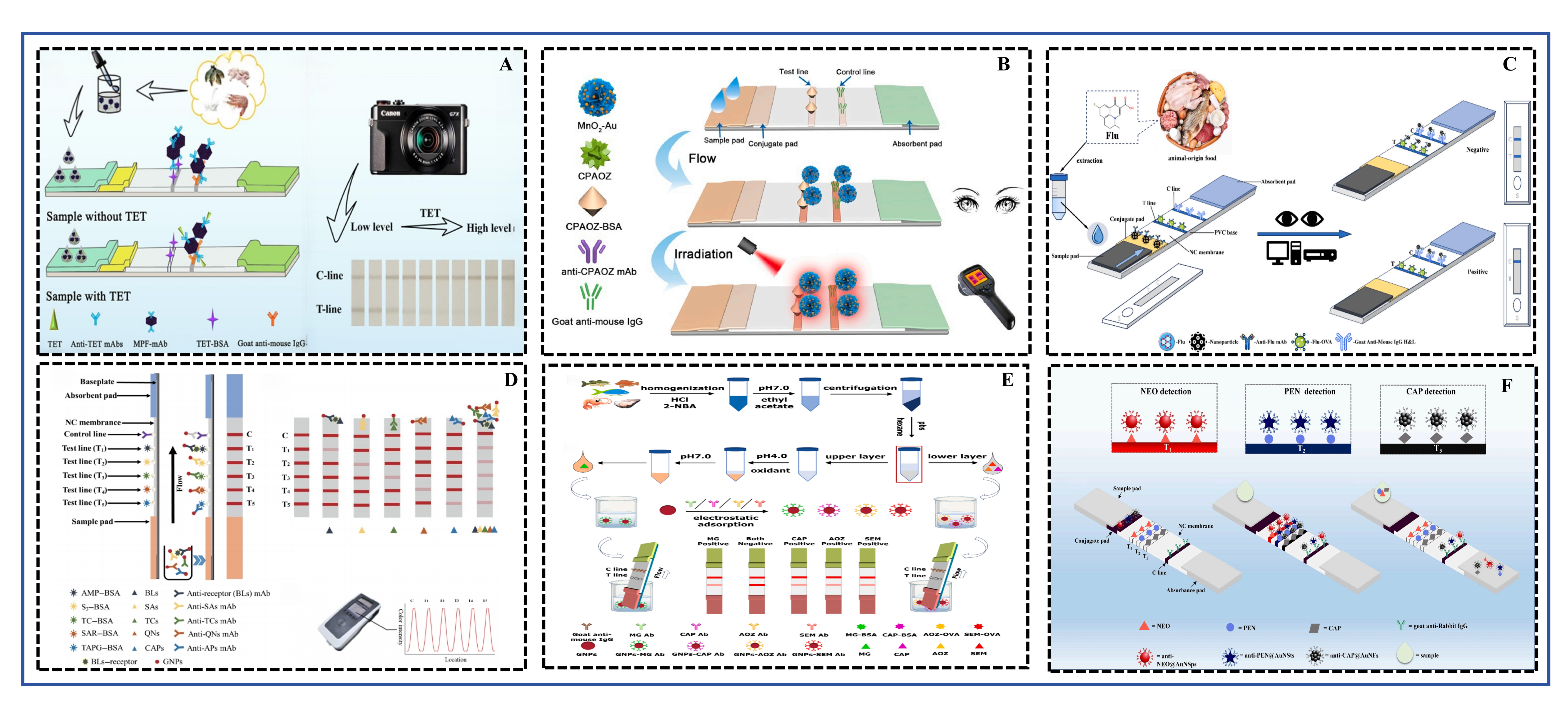 A Systematic Review of On-Site Rapid Detection Methods for Antibiotic ...