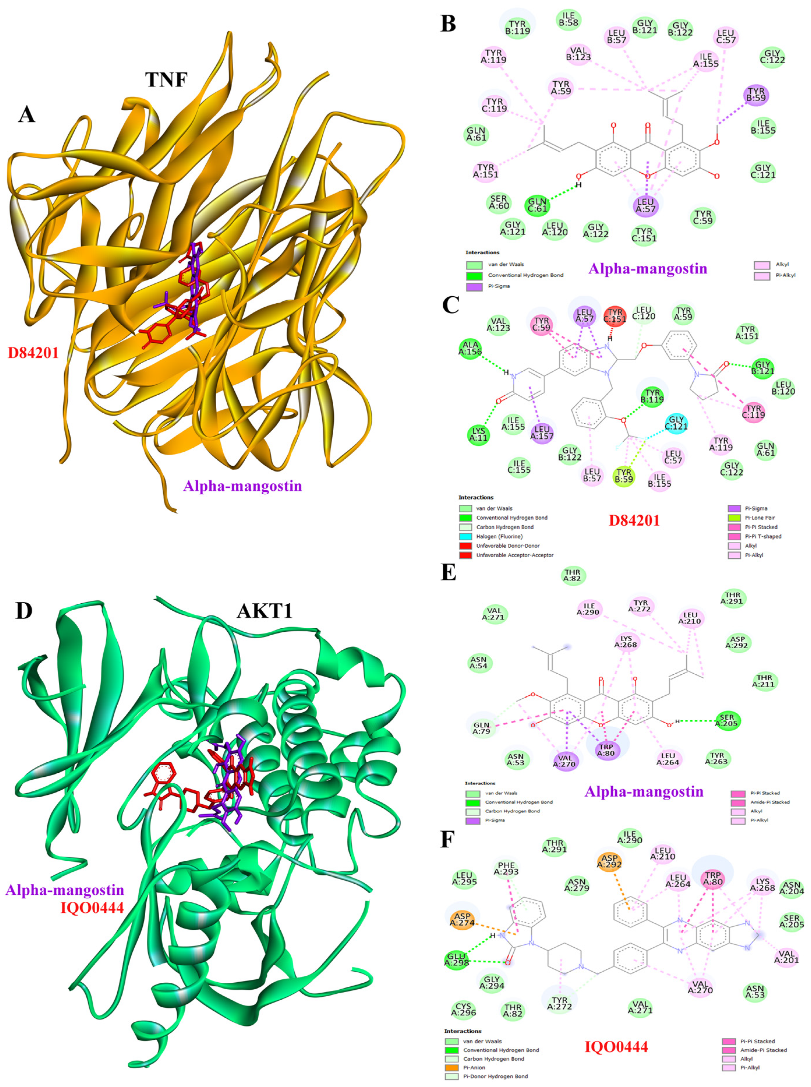 Integrative Network Pharmacology and Molecular Docking Analysis ...