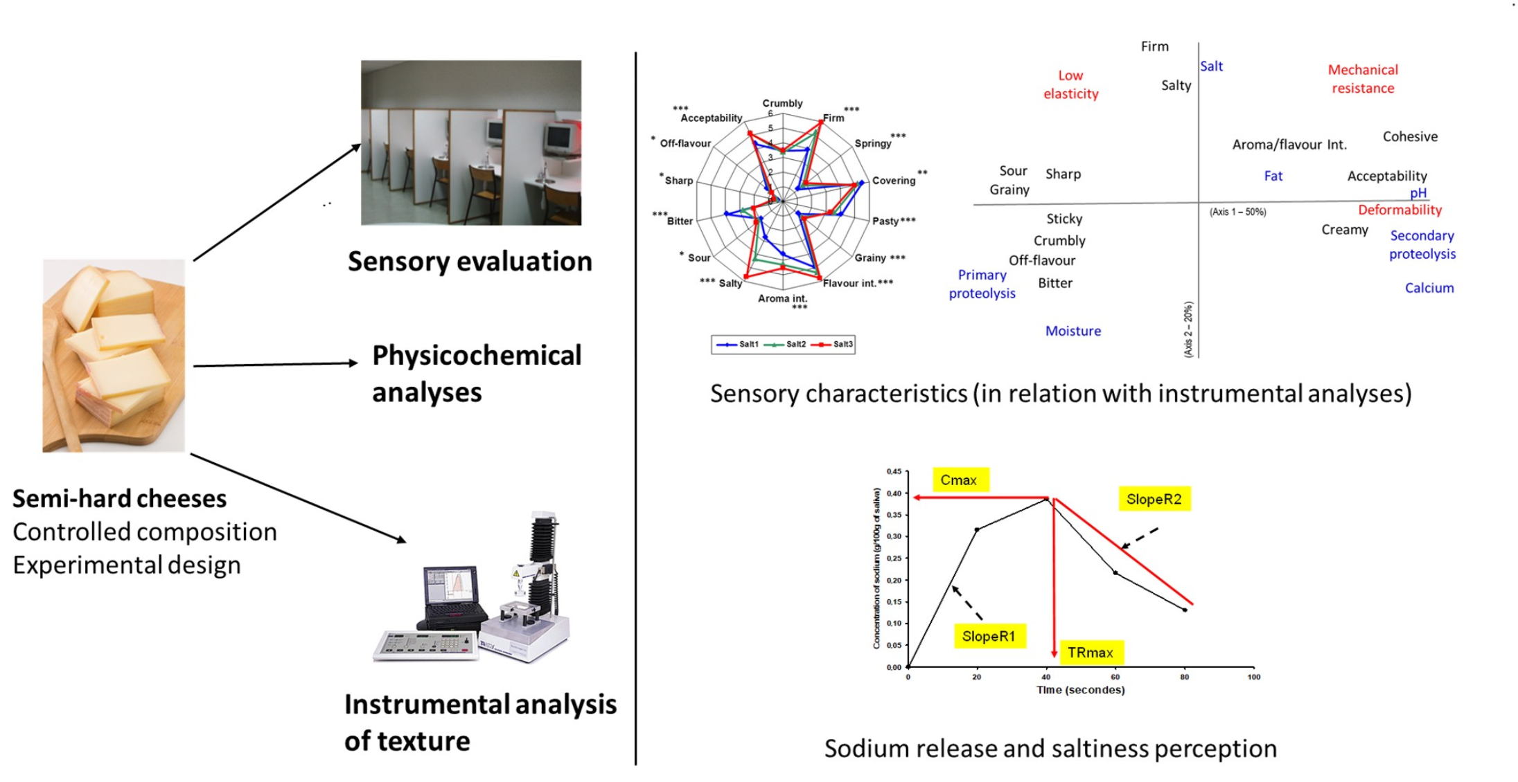 Influence of Composition and Texture on In-Mouth Sodium Release and ...