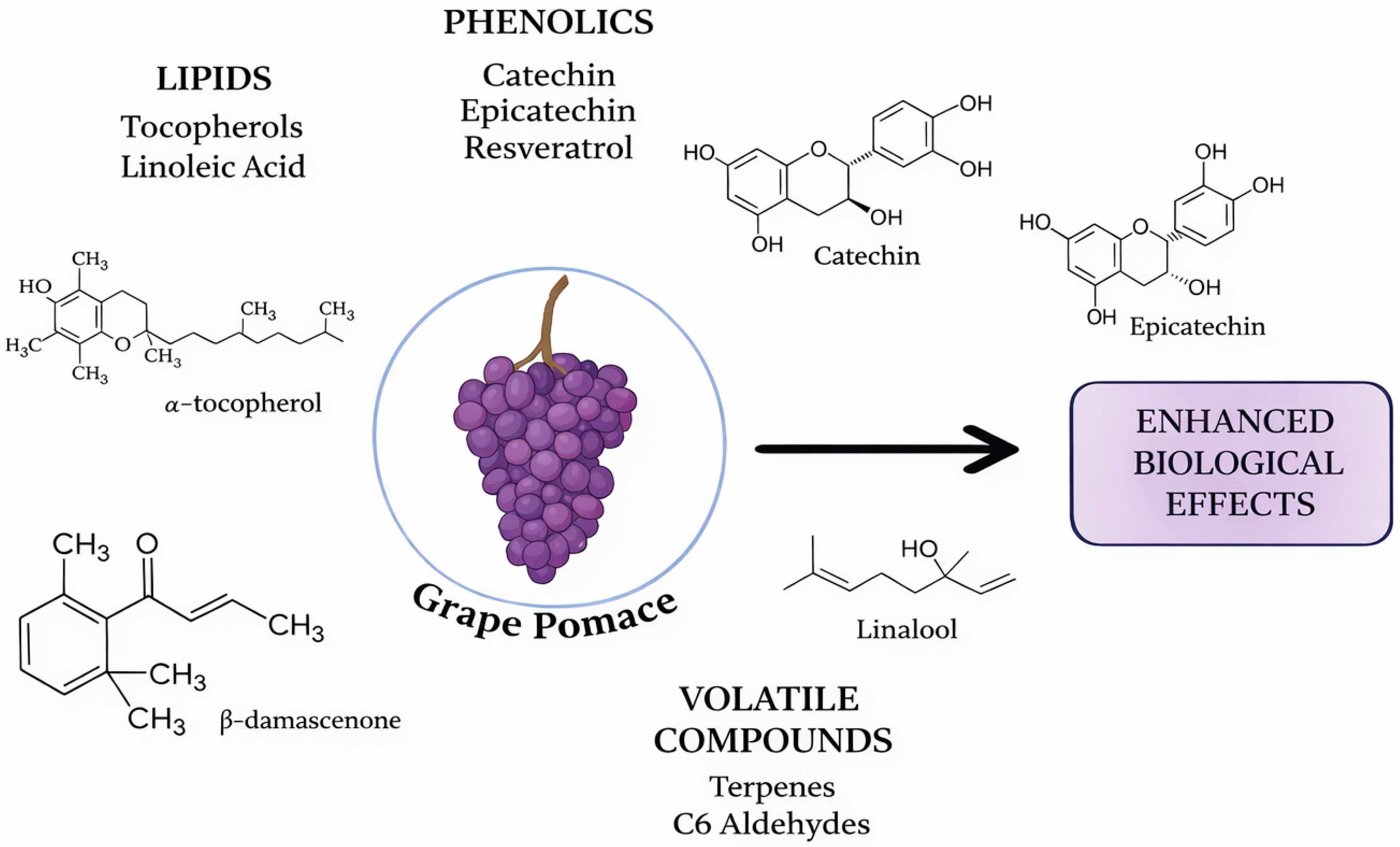 Grape Rgp Grape Pomace as a Platform for Secondary Metabolite Recovery ...