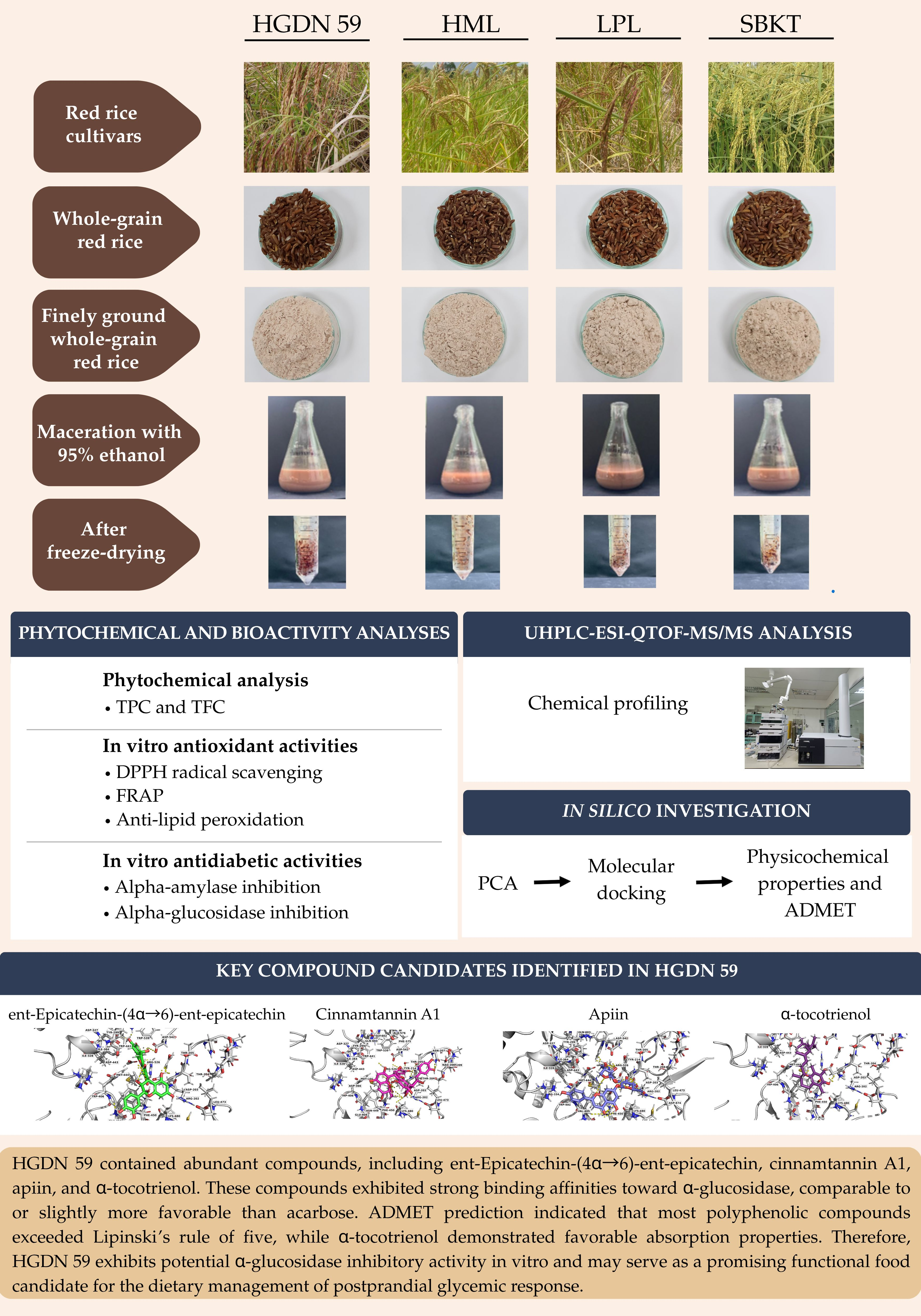 Red Rice Composition Comparative Chemical Profiling, Antioxidant Activity, and Antidiabetic ...