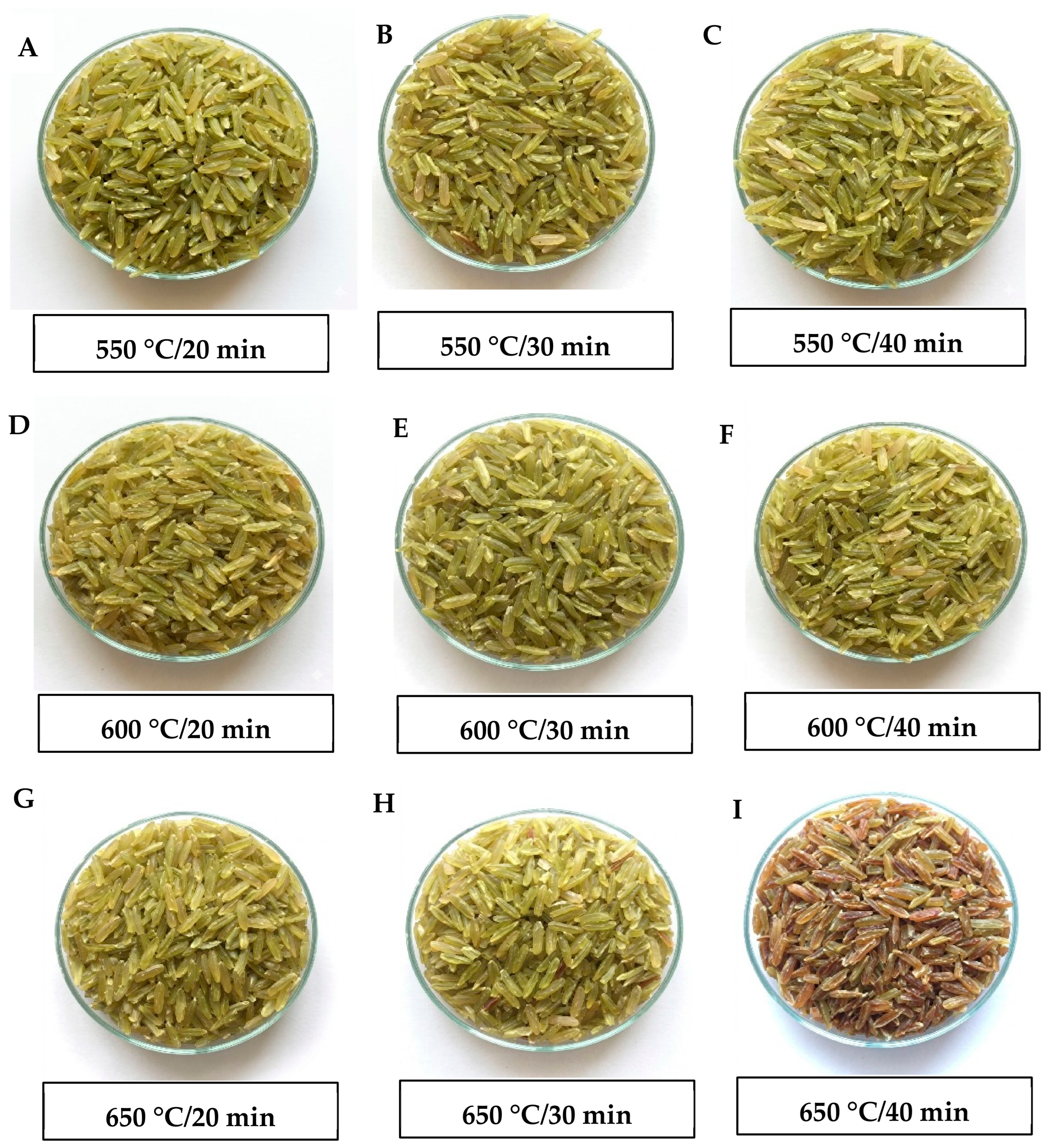 Optimization of Infrared Rotary Roasting Conditions for Immature Rice ...