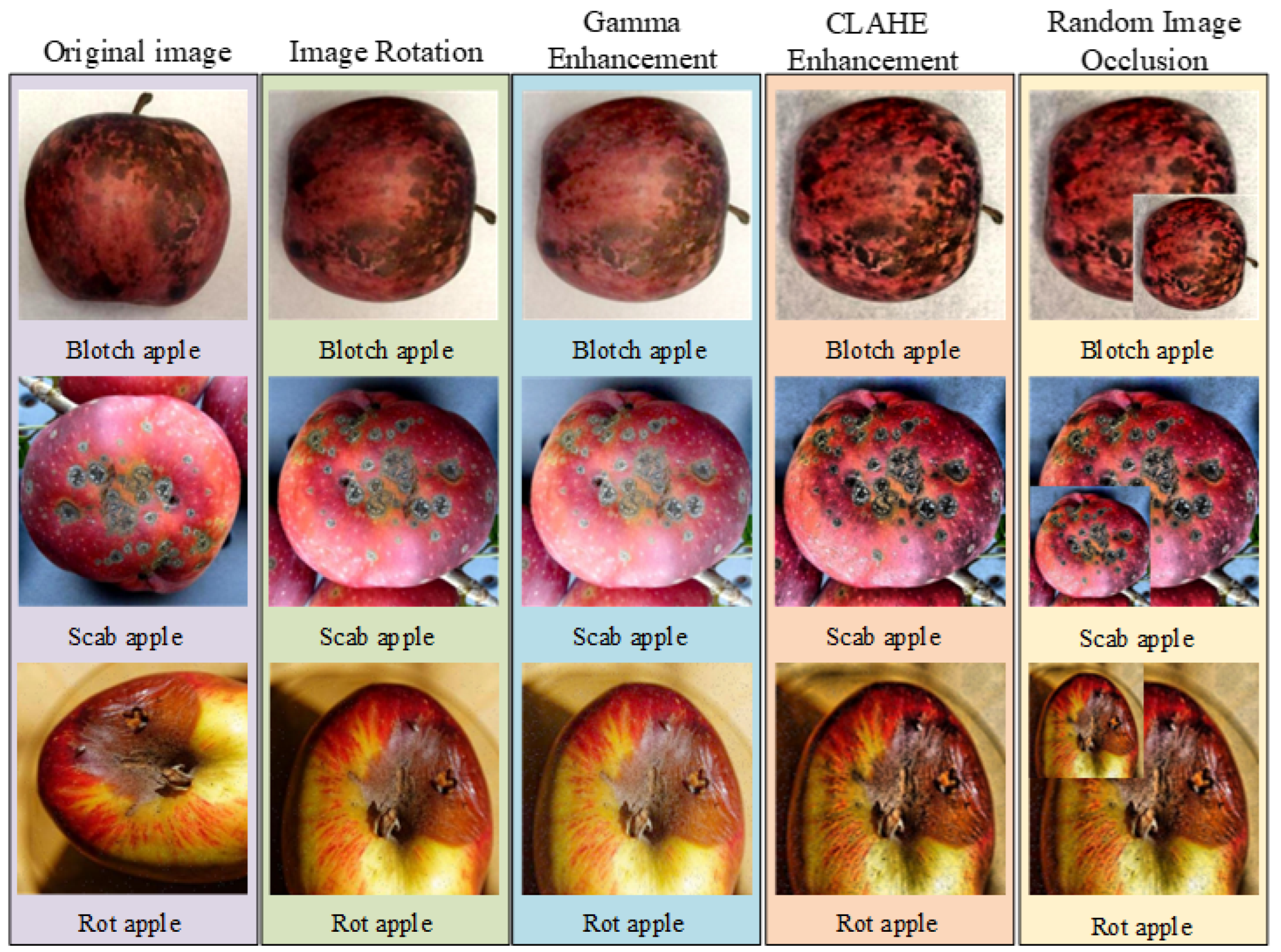 Research on Apple Surface Disease Detection Method Based on Improved ...