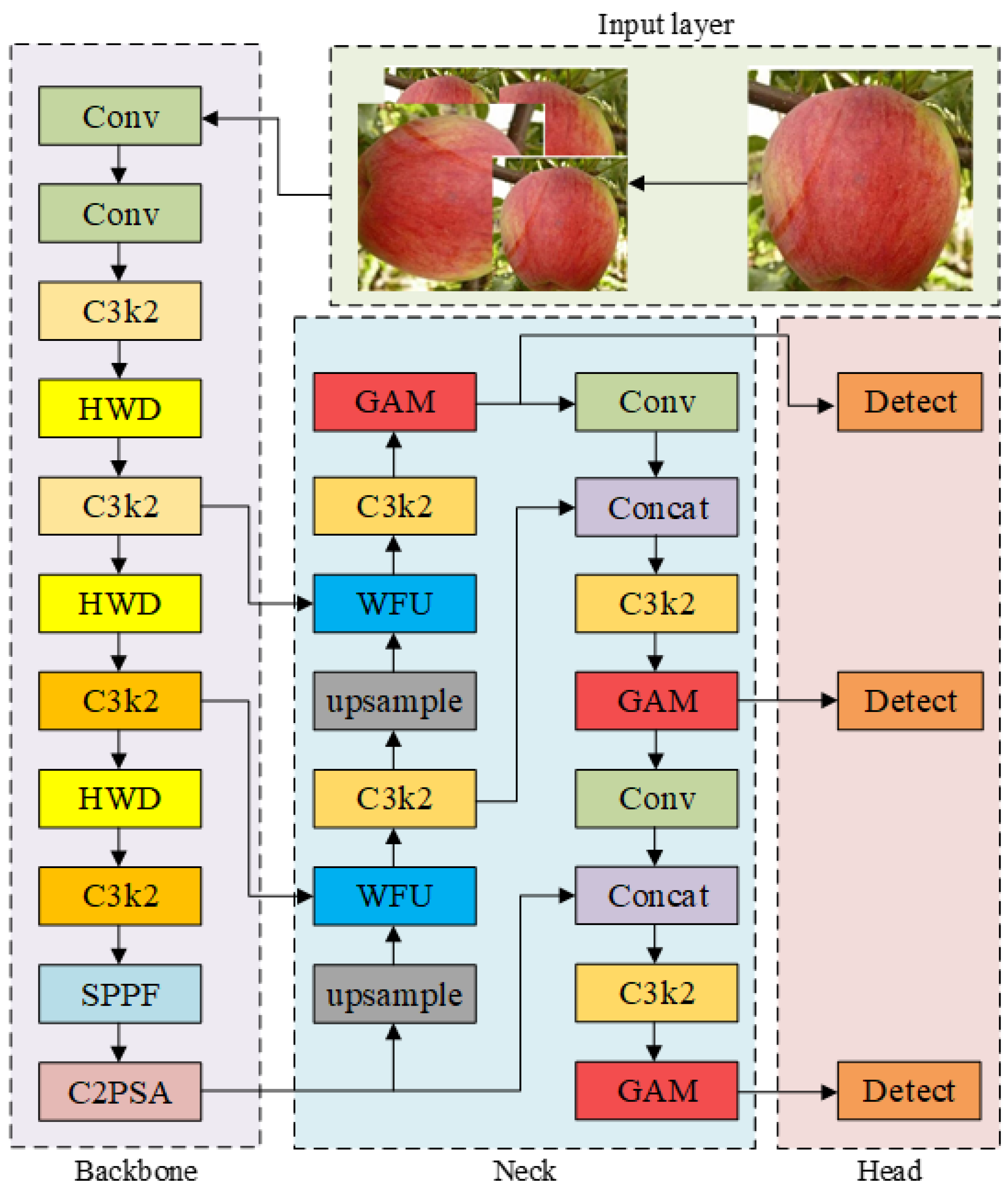 Research on Apple Surface Disease Detection Method Based on Improved ...