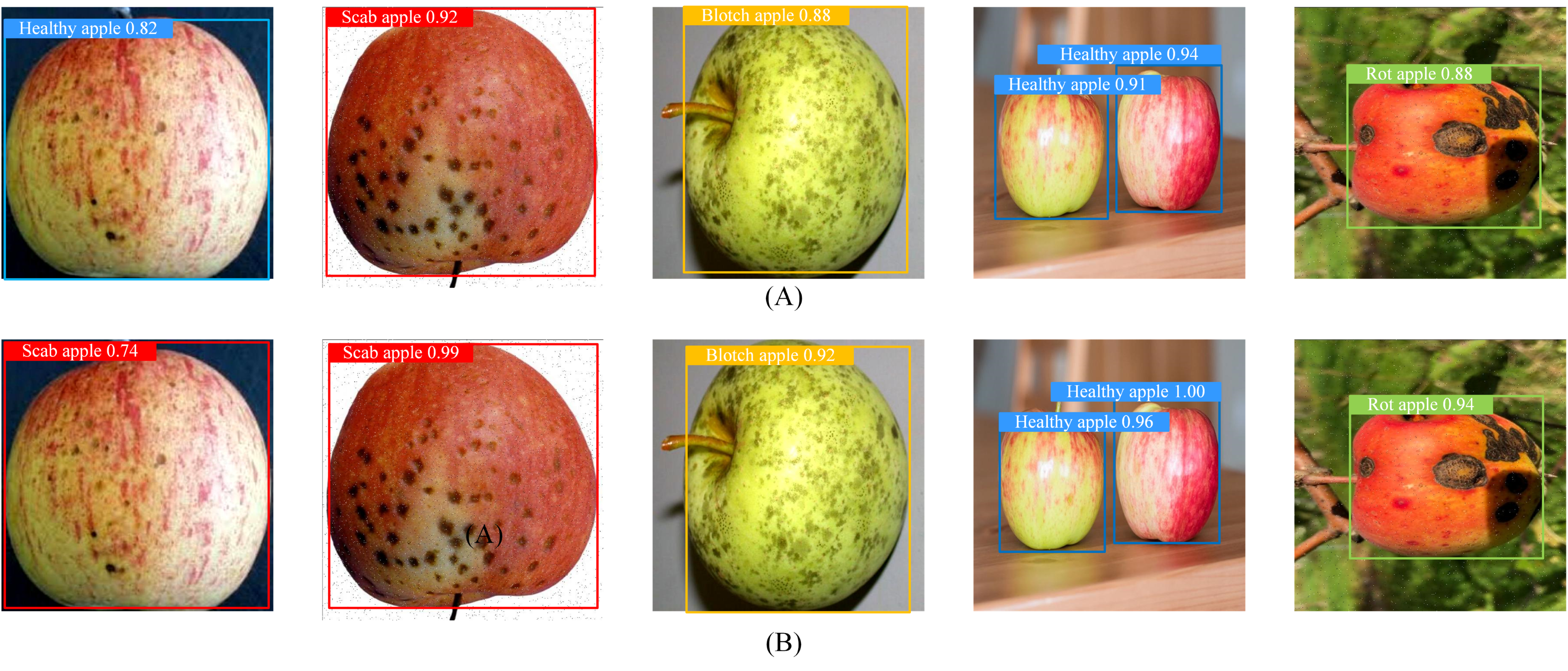 Research on Apple Surface Disease Detection Method Based on Improved ...