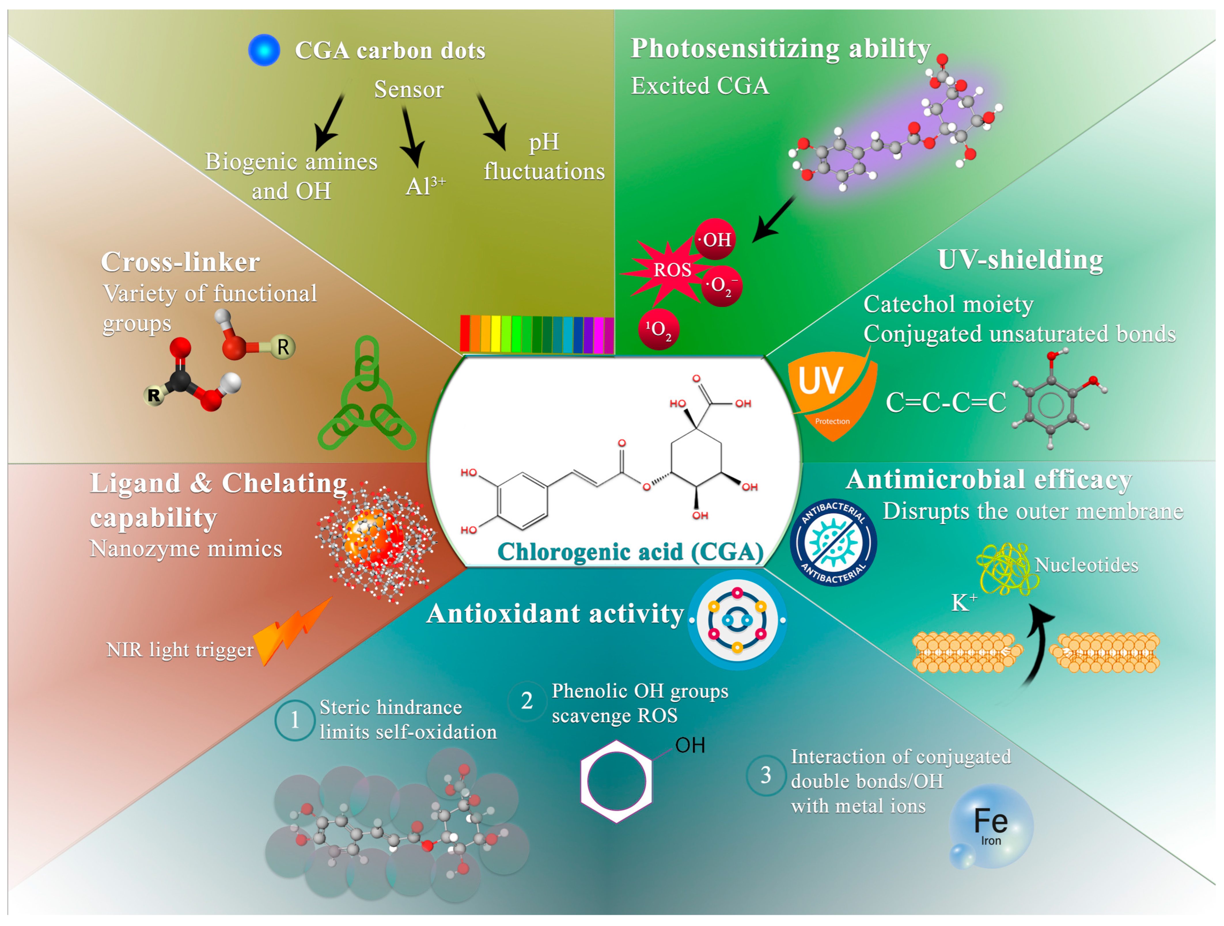Multifunctional Roles of Chlorogenic Acid in Food Packaging Films ...