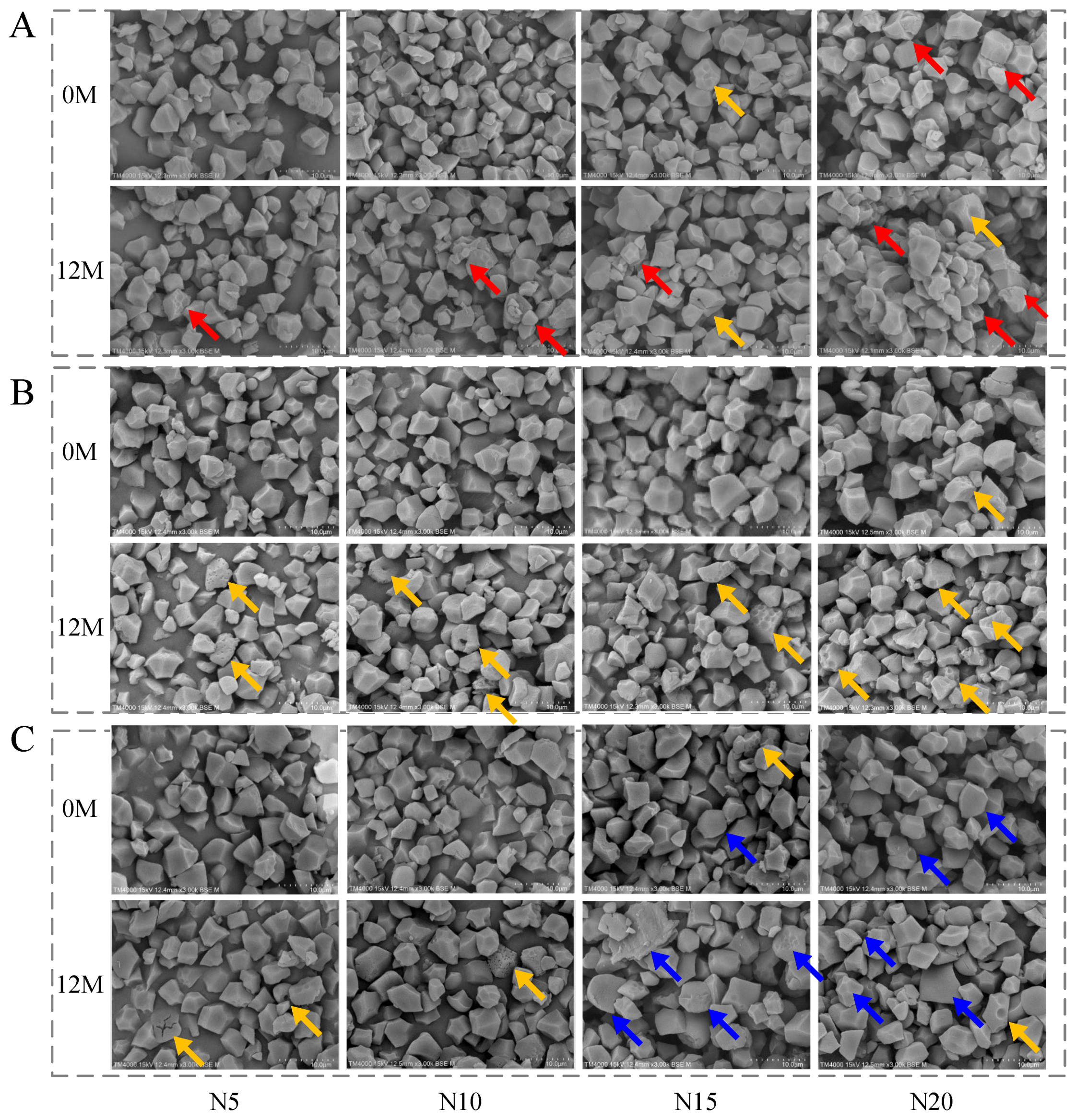 Evolution of Rice Storage Quality and Underlying Microstructural ...