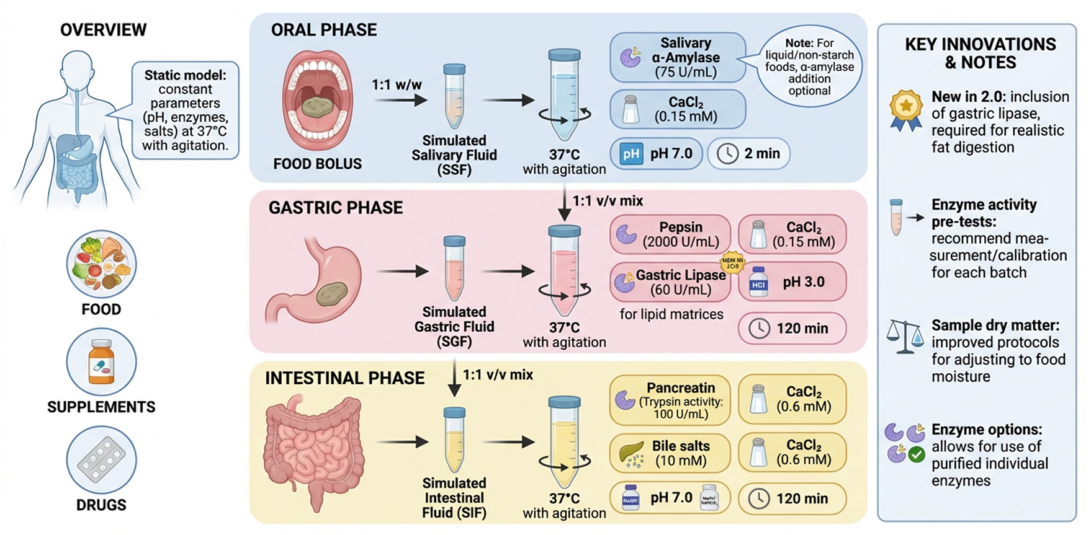 Infogest INFOGEST 2.0 Protocol Applied to Animal-Derived Milk and Dairy Products ...