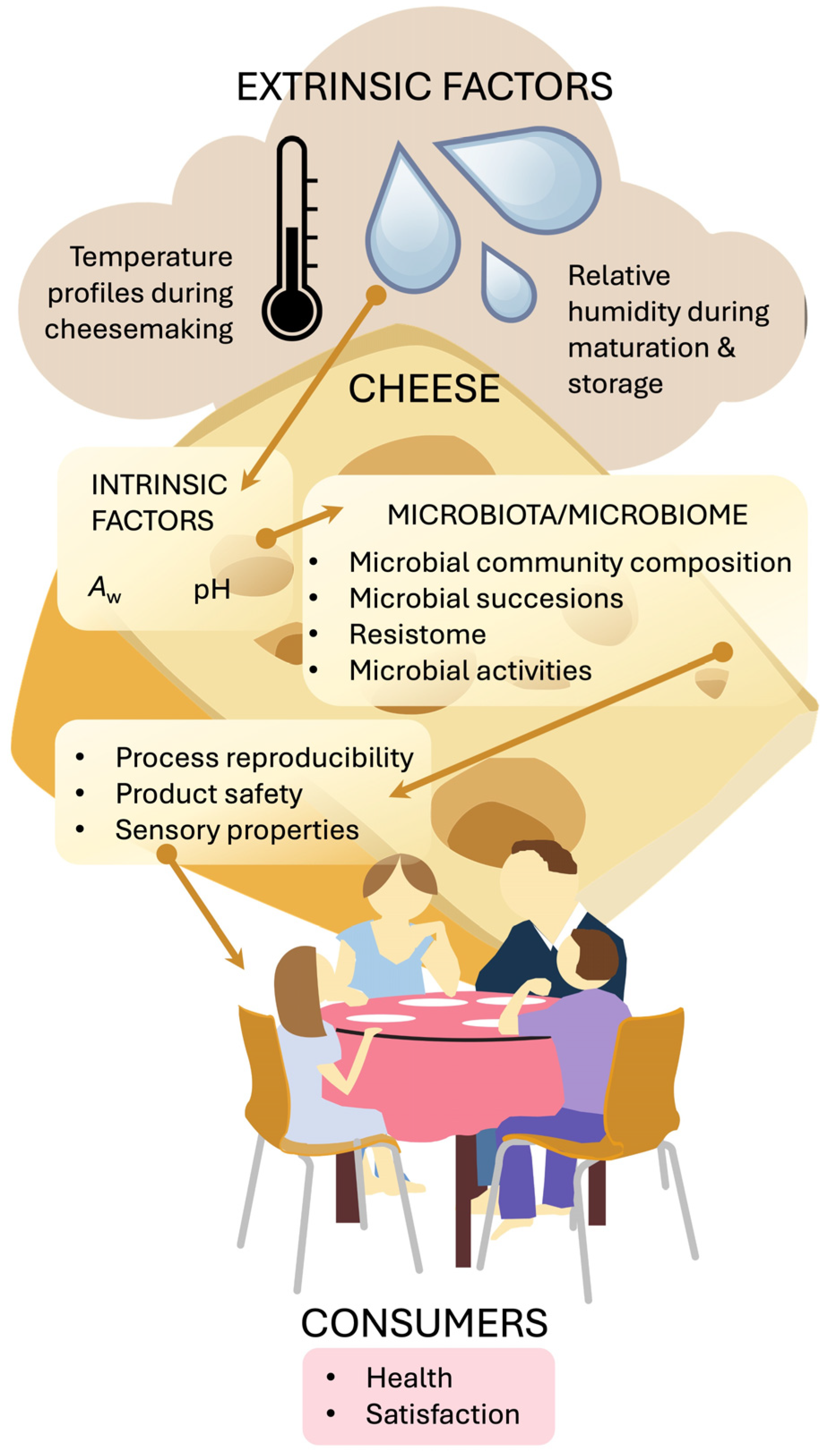 Cheese and Its Microbes Under the Light of One Health—A Comprehensive ...