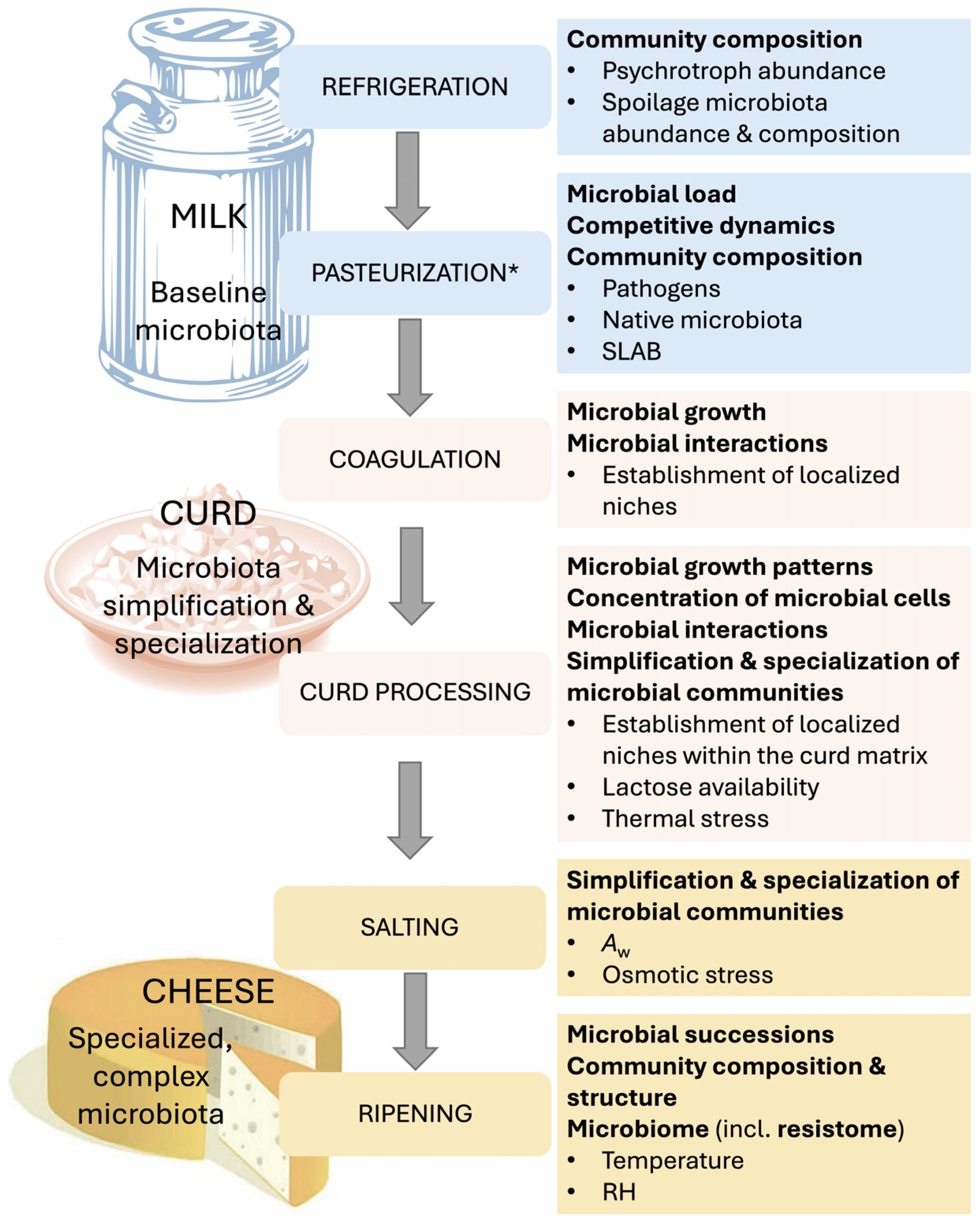Cheese and Its Microbes Under the Light of One Health—A Comprehensive ...