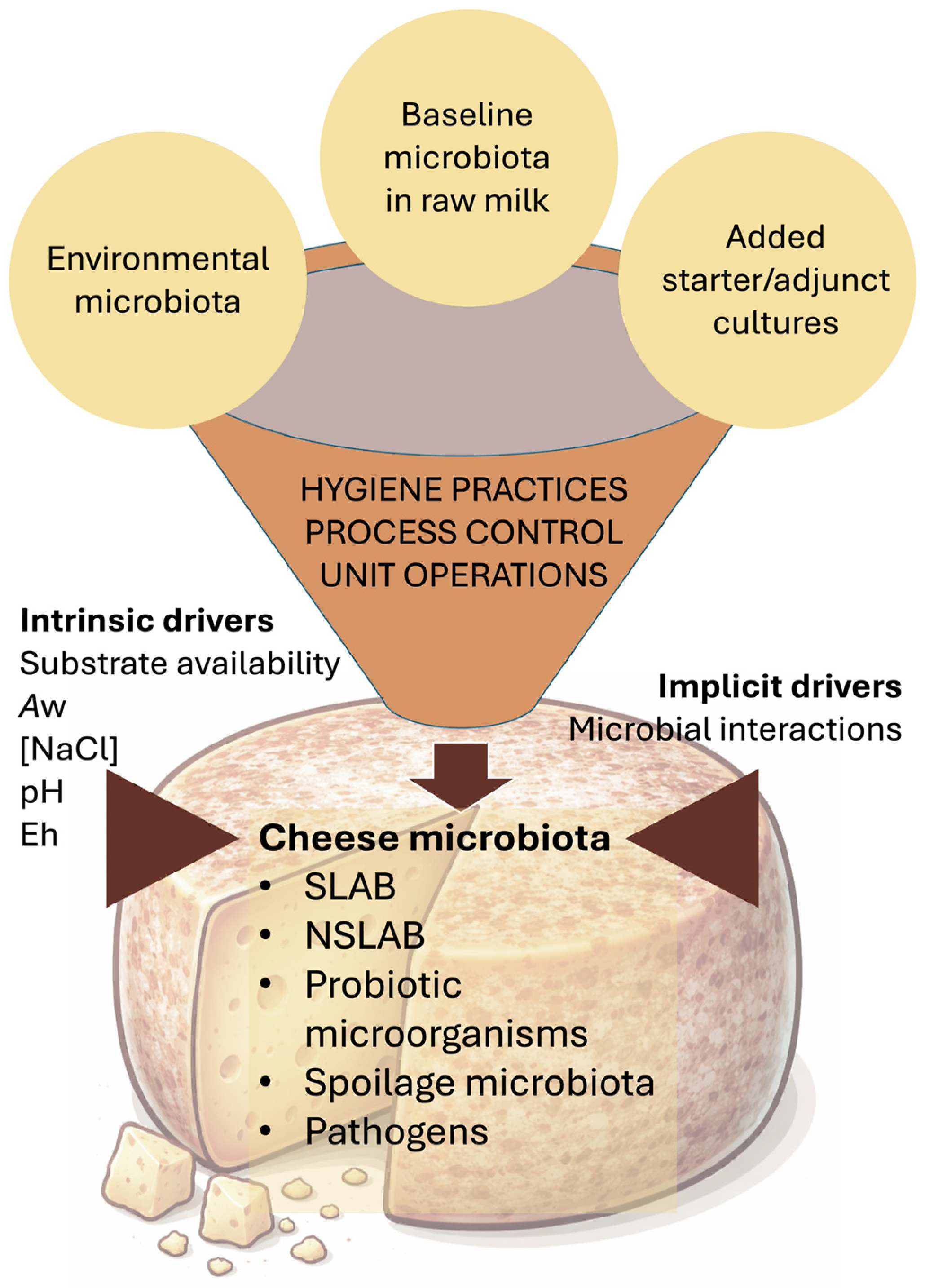 Cheese and Its Microbes Under the Light of One Health—A Comprehensive ...