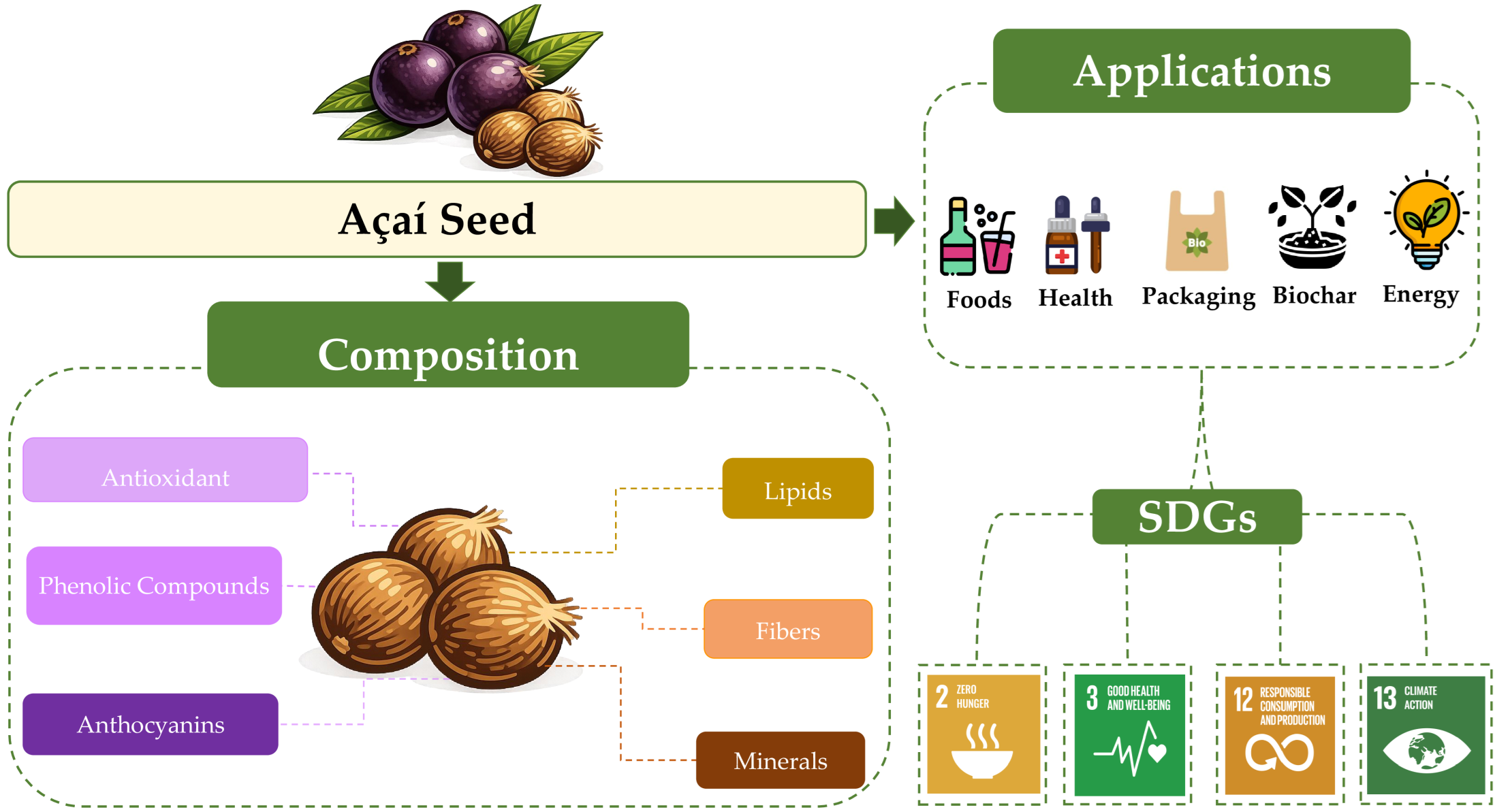 Açaí Seeds for a Greener Future: Transforming Agro-Waste into ...