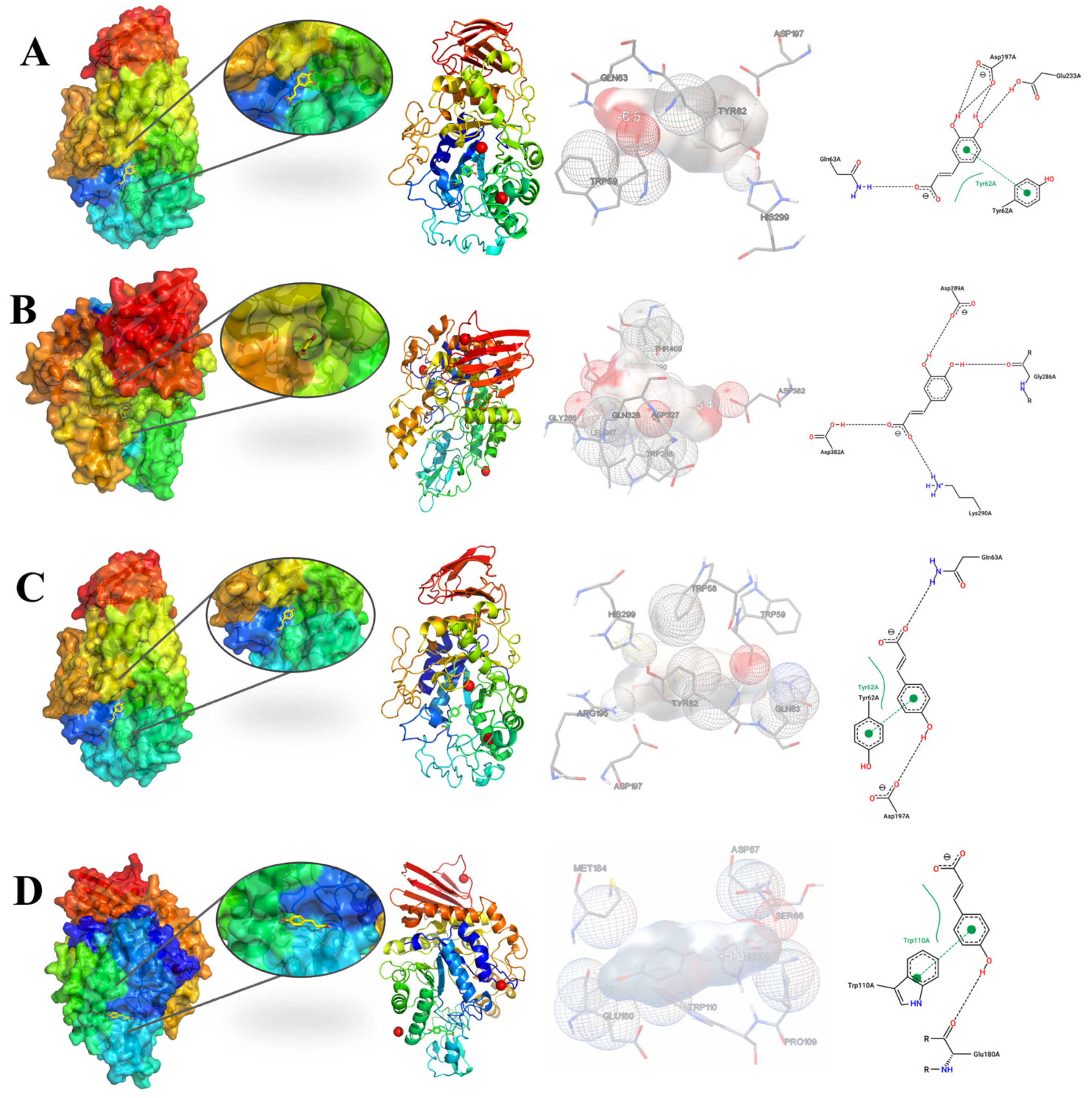 Molecular Basis for the Divergent Inhibition of α-Amylase and α ...