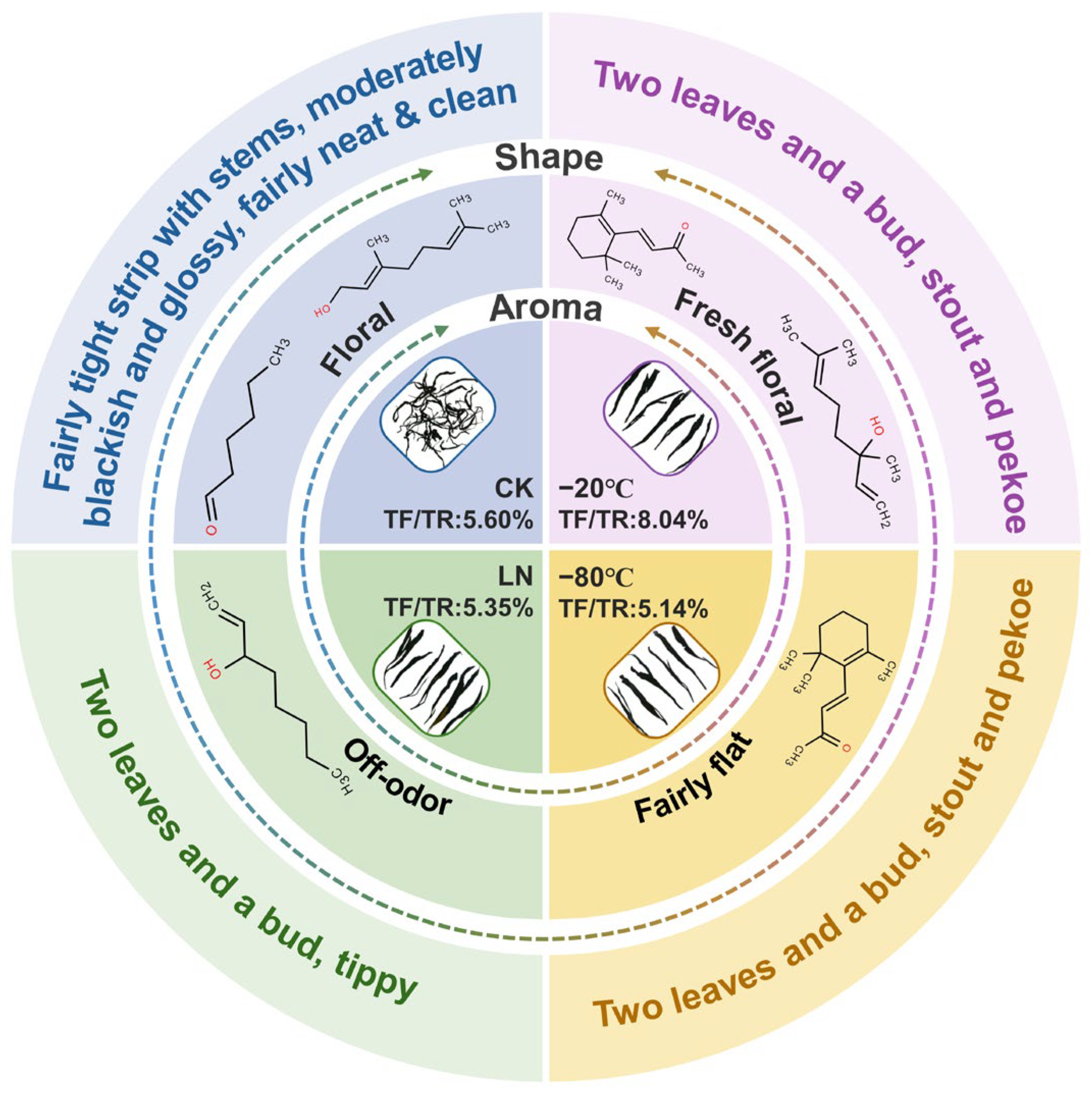 Decoding the Modulation of Temperature During Withering on the Flavor ...