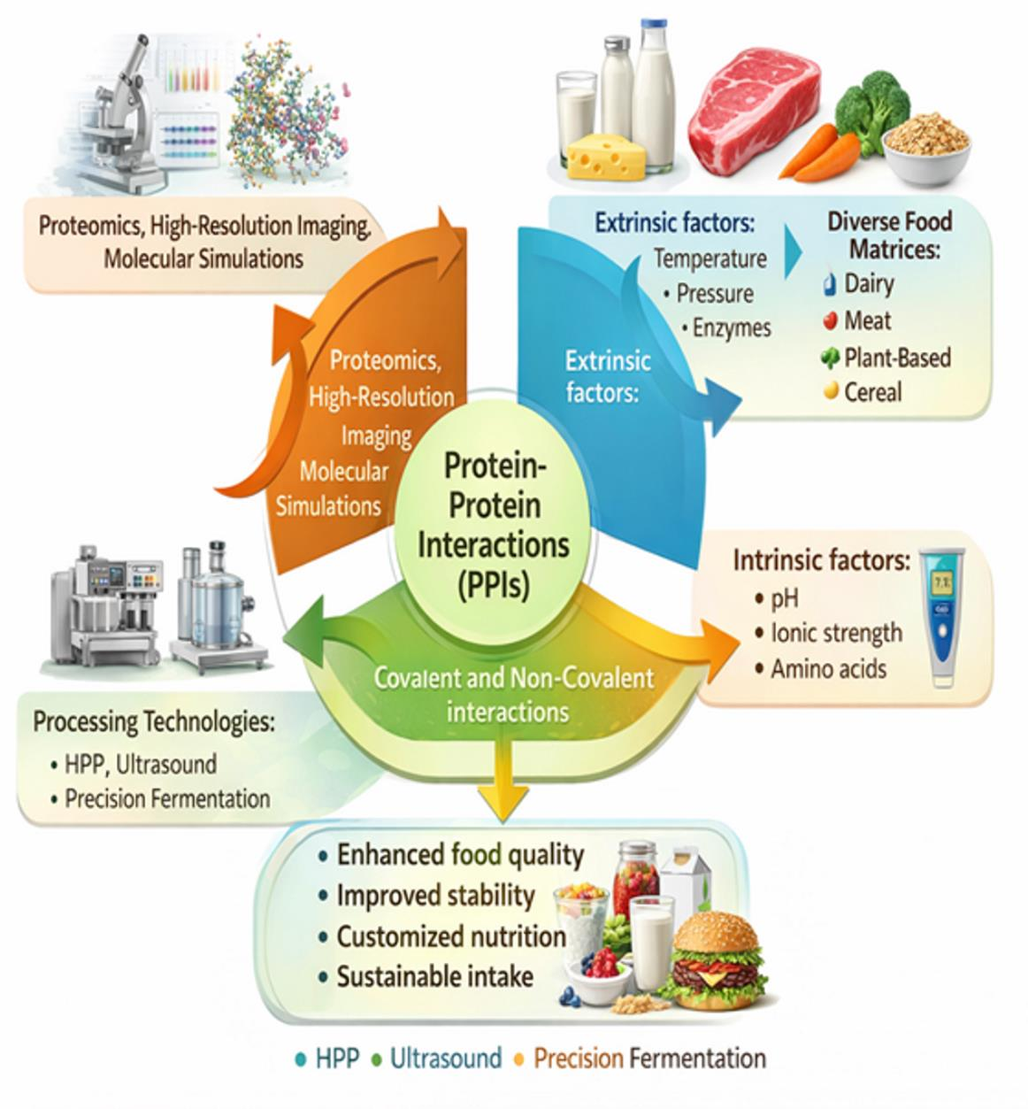 Protein–Protein Interactions in Food Systems: Analytical Advances and ...