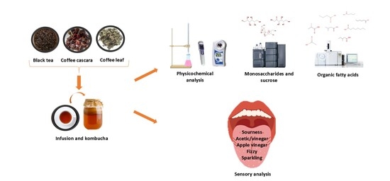 Foods, Vol. 15, Pages 2074: Changes in Short- and Medium-Chain Fatty Acids and Sugars During Kombucha Fermentation of Tea and Coffee Byproducts and Their Relation to Sourness