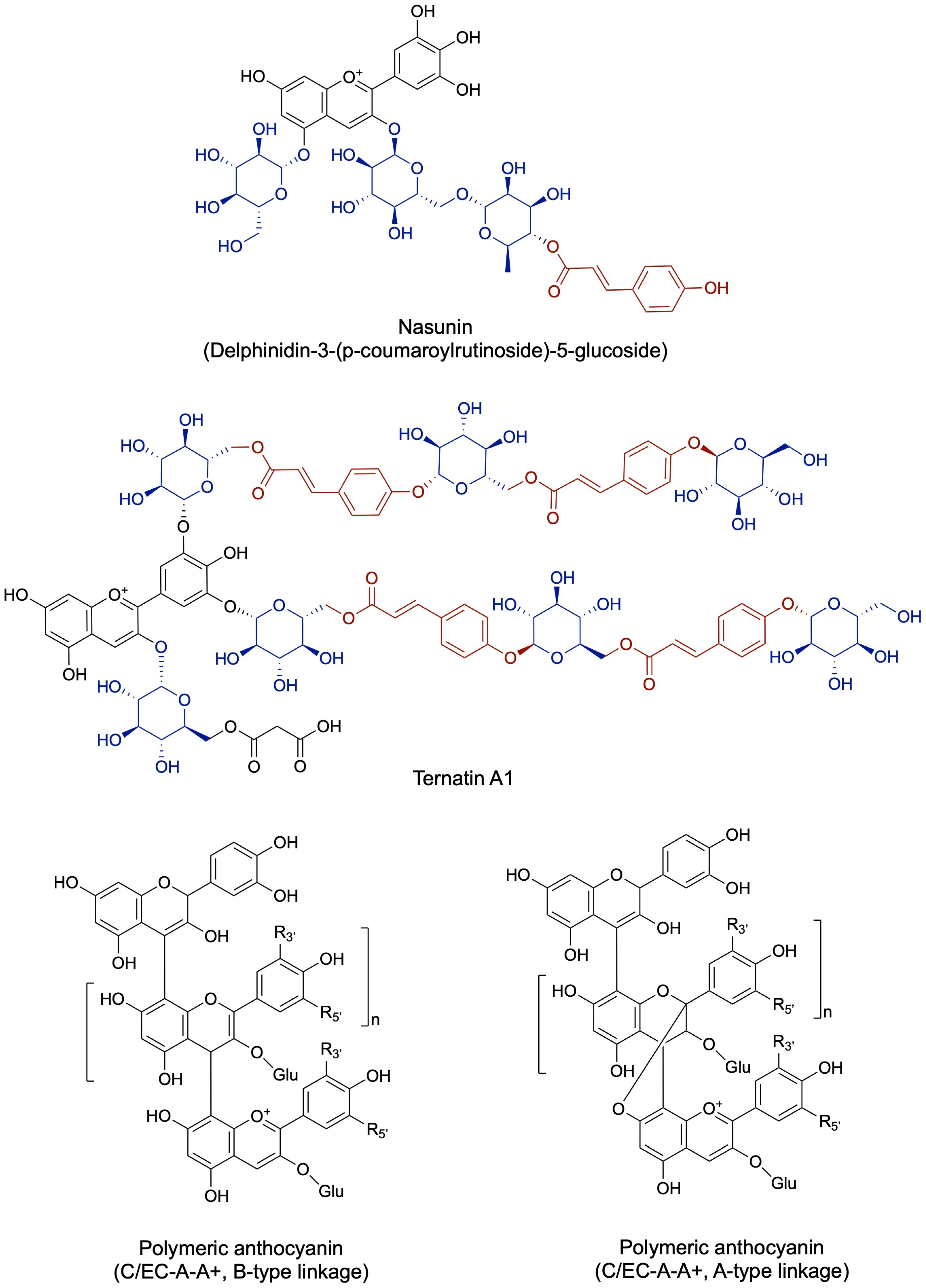 Anthocyanin Structural Types and Stability: Implications for Natural ...