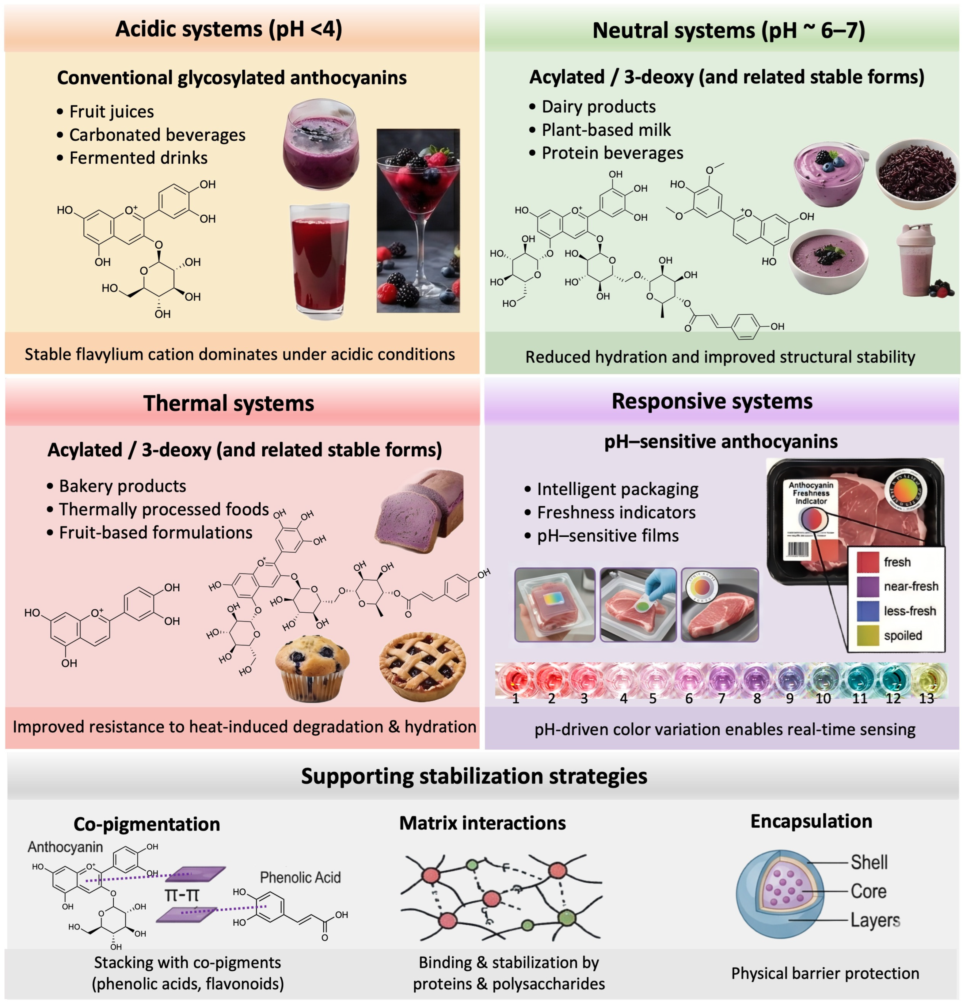 Anthocyanin Structural Types and Stability: Implications for Natural ...