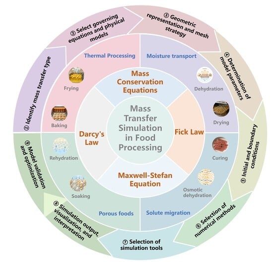 Modeling and Simulation of Mass Transfer in Food Processing: Recent Advances in Governing Equations, Workflow, and Applications