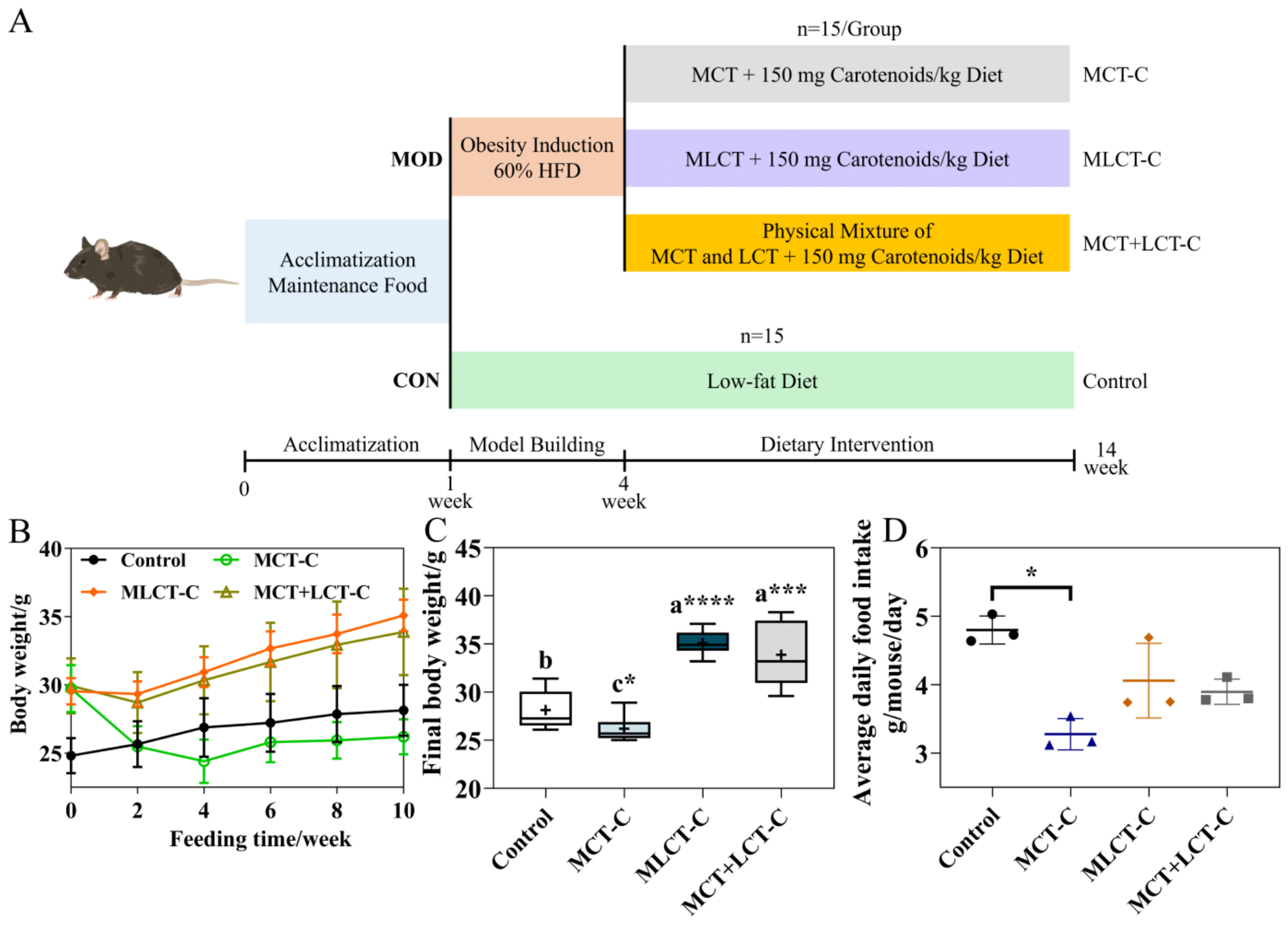 Effects of Medium-Chain Versus Medium- and Long-Chain Triglycerides ...