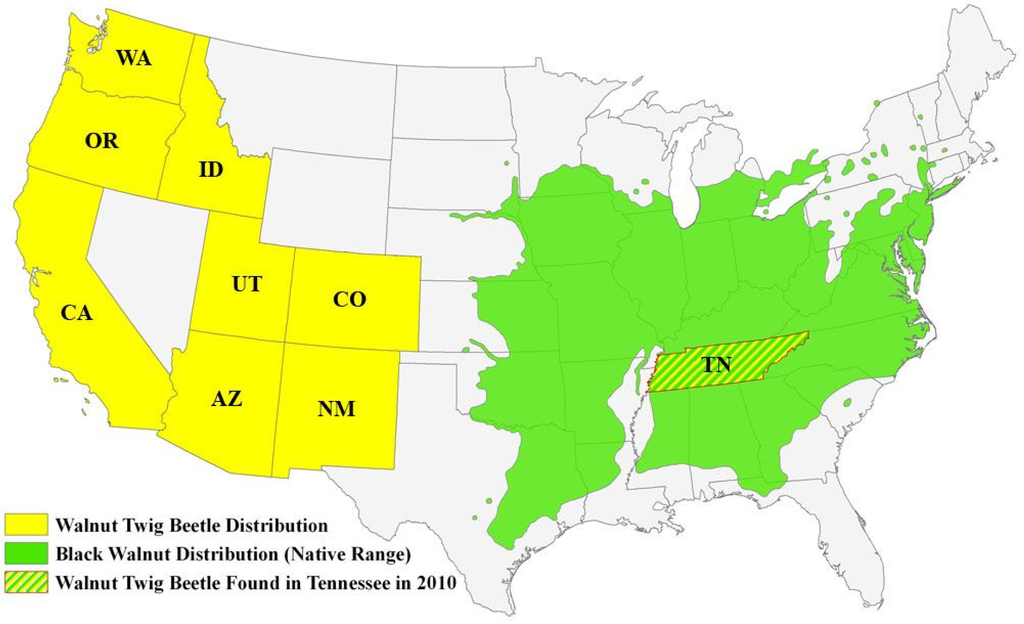 Плотность сша. Eastern Test range на карте. Distribution of Black.