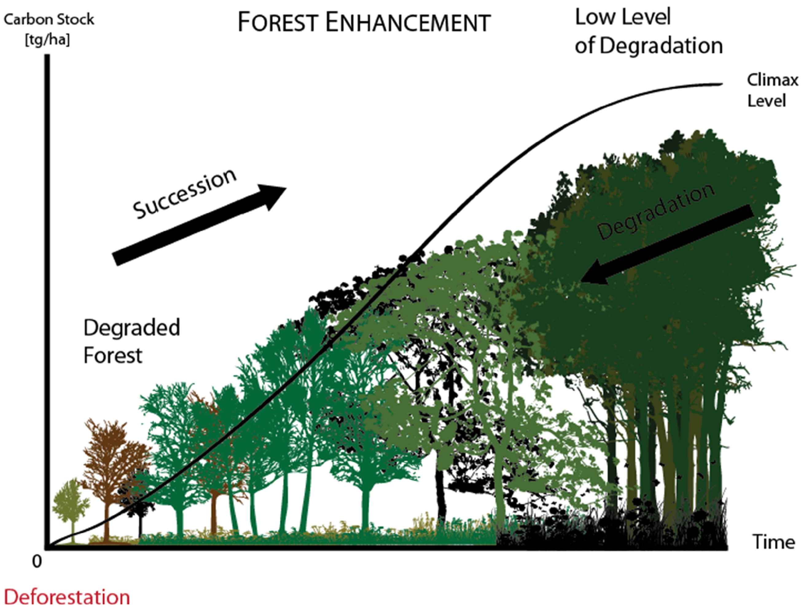 Forests | Free Full-Text | the Definition Forest Degradation for REDD+, Application to Mexico
