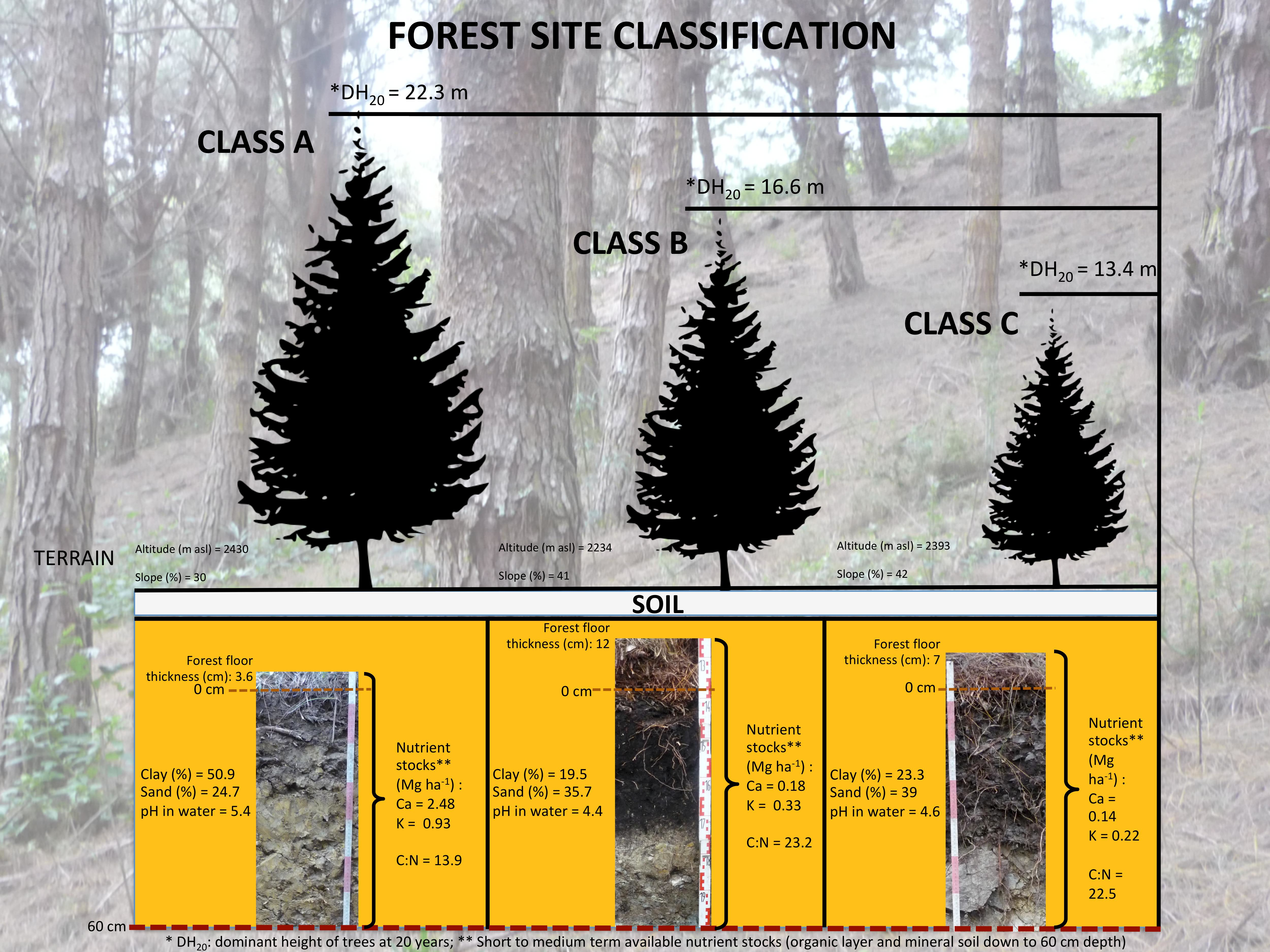 Forest types under the study. a Site 1; b Site 2; c Site 3; d Site 4; e