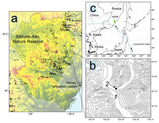 Forests | Free Full-Text | Strong Disturbance Impact of Tropical ...