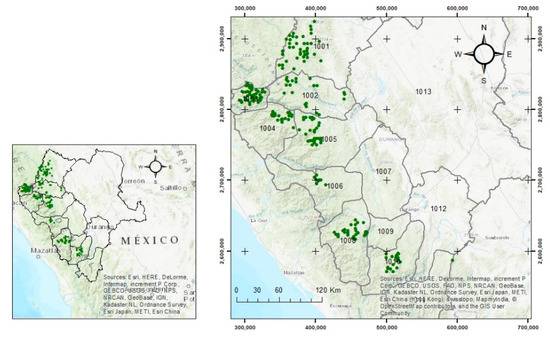 Individual Tree Diameter and Height Growth Models for 30 Tree Species ...