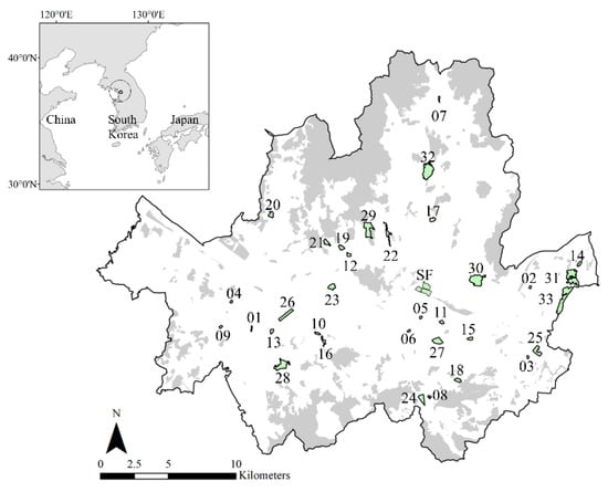 Forests | Free Full-Text | An Effect Of Urban Forest On Urban Thermal ...