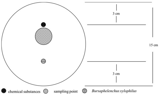 Tiere und ihre Nahrung ペーターピール Effects of Several Chemicals on the Migration Behavior of