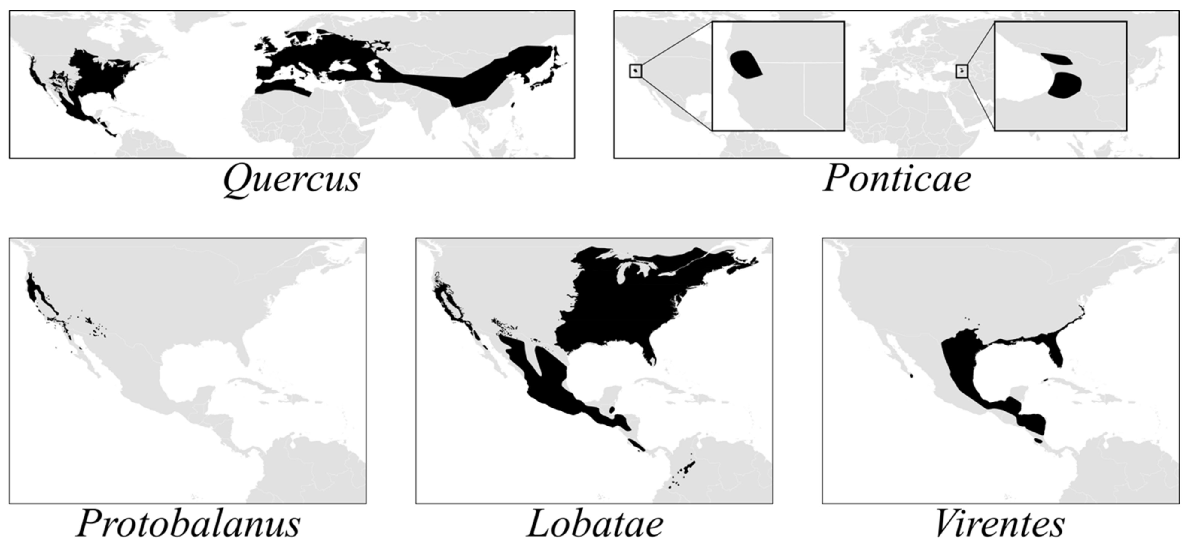 The global biogeography of tree leaf form and habit