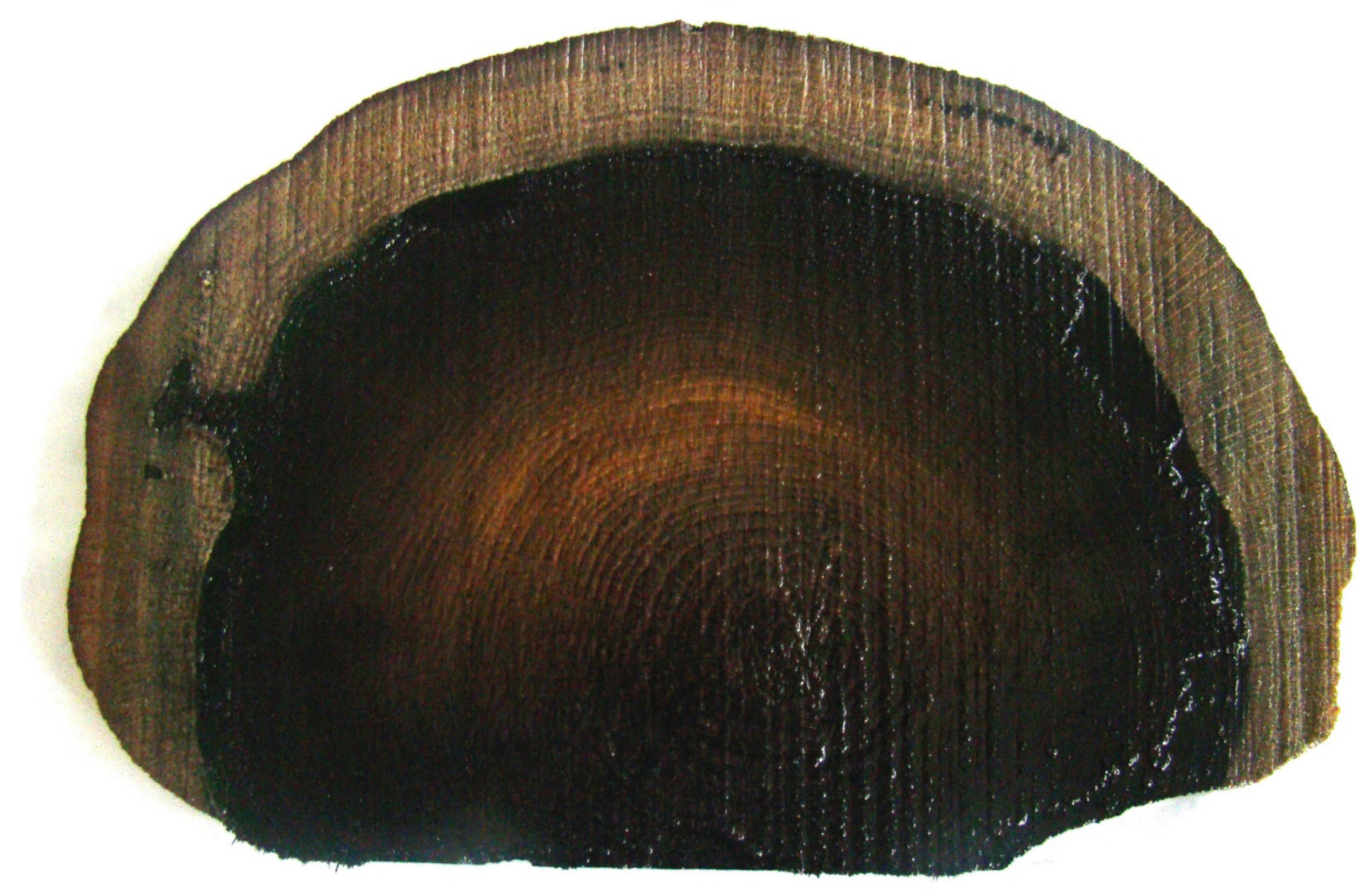 Wilson Birch Logs 1 to 1.5 inch x 17-18 inch Long - Set of 12 Logs