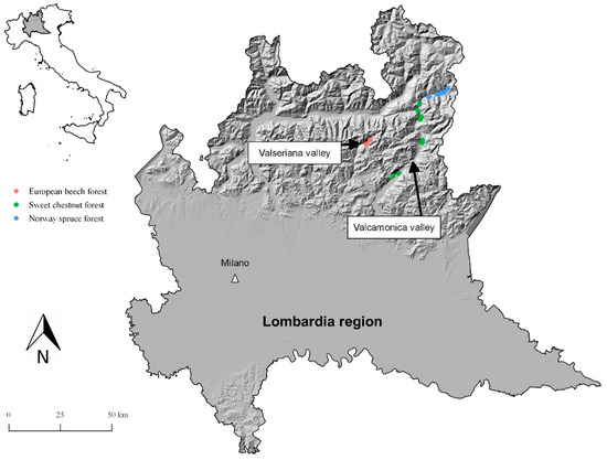 Forests | Free Full-Text | Exploring Correlation between Stand ...