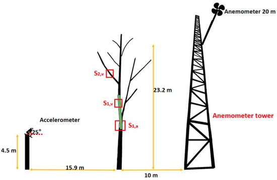 Forests | Free Full-Text | The Tracking and Frequency Measurement of ...