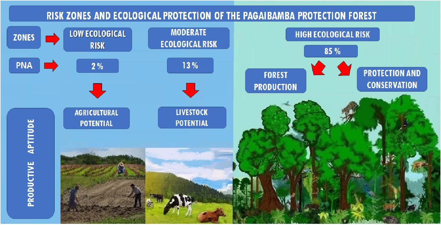 Classifying the risk of forest loss in the Peruvian