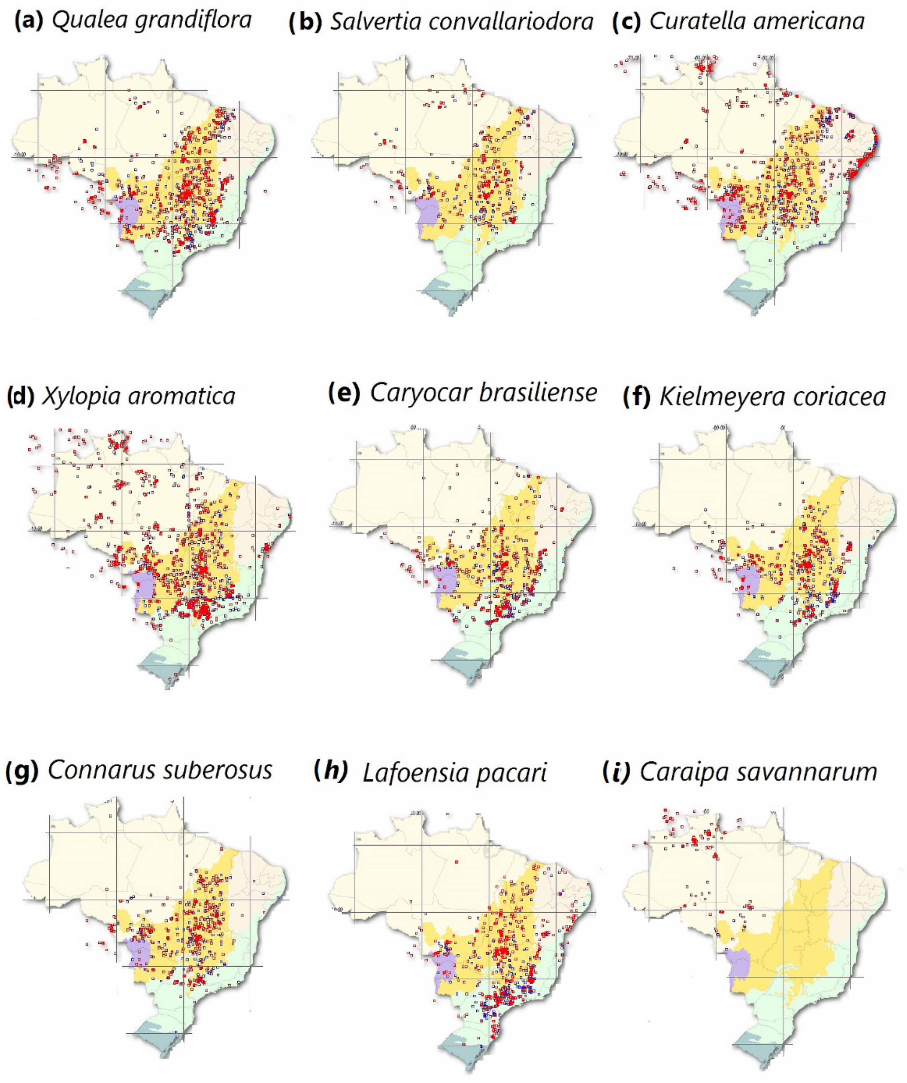 Deforestation in Brazil could significantly increase local surface  temperatures