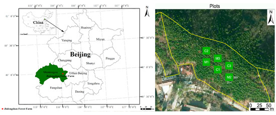 Forests | Free Full-Text | Dynamic Effects Of Structure-Based Forest ...