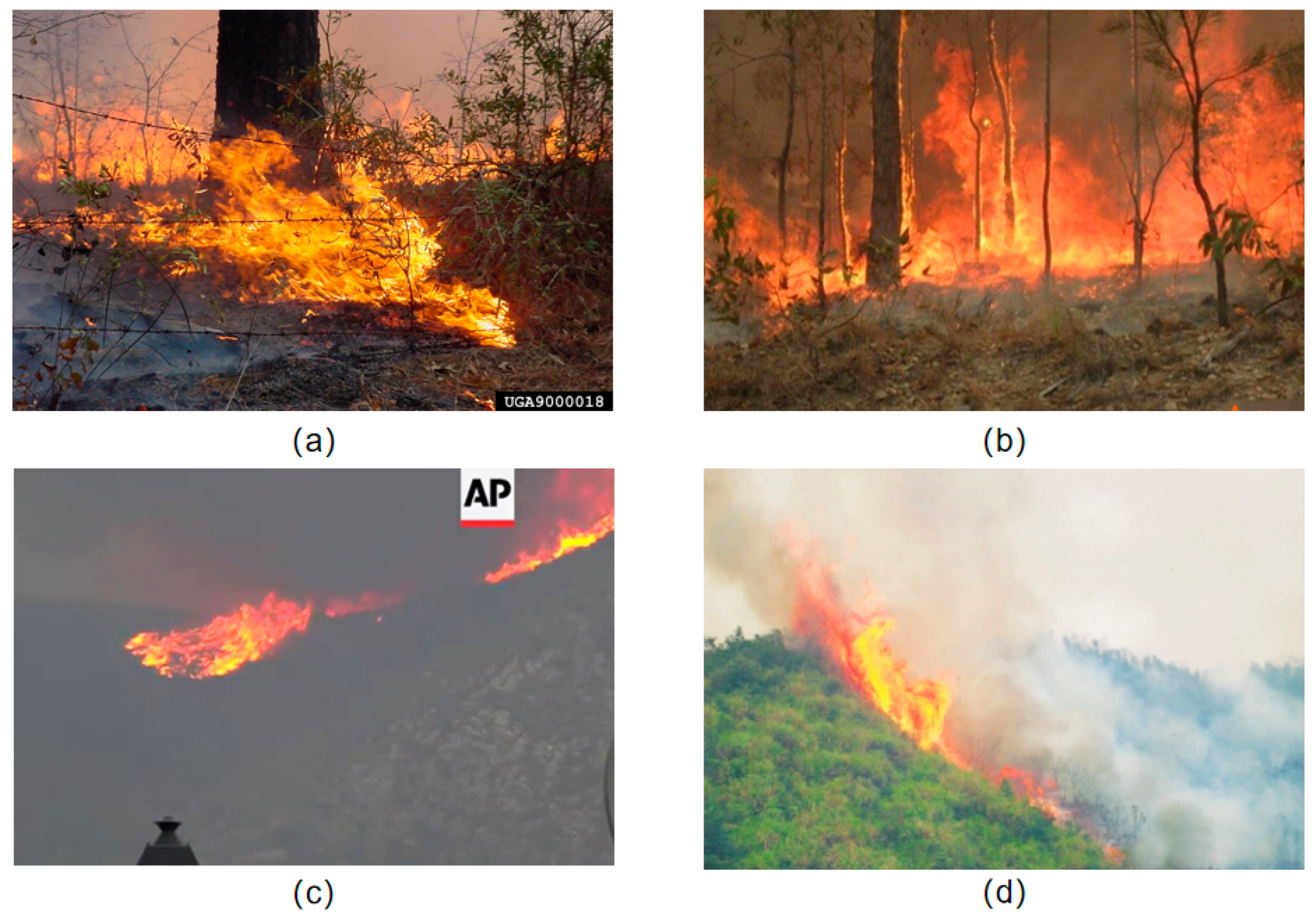 Forests | Free Full-Text | A Small Target Forest Fire Detection 