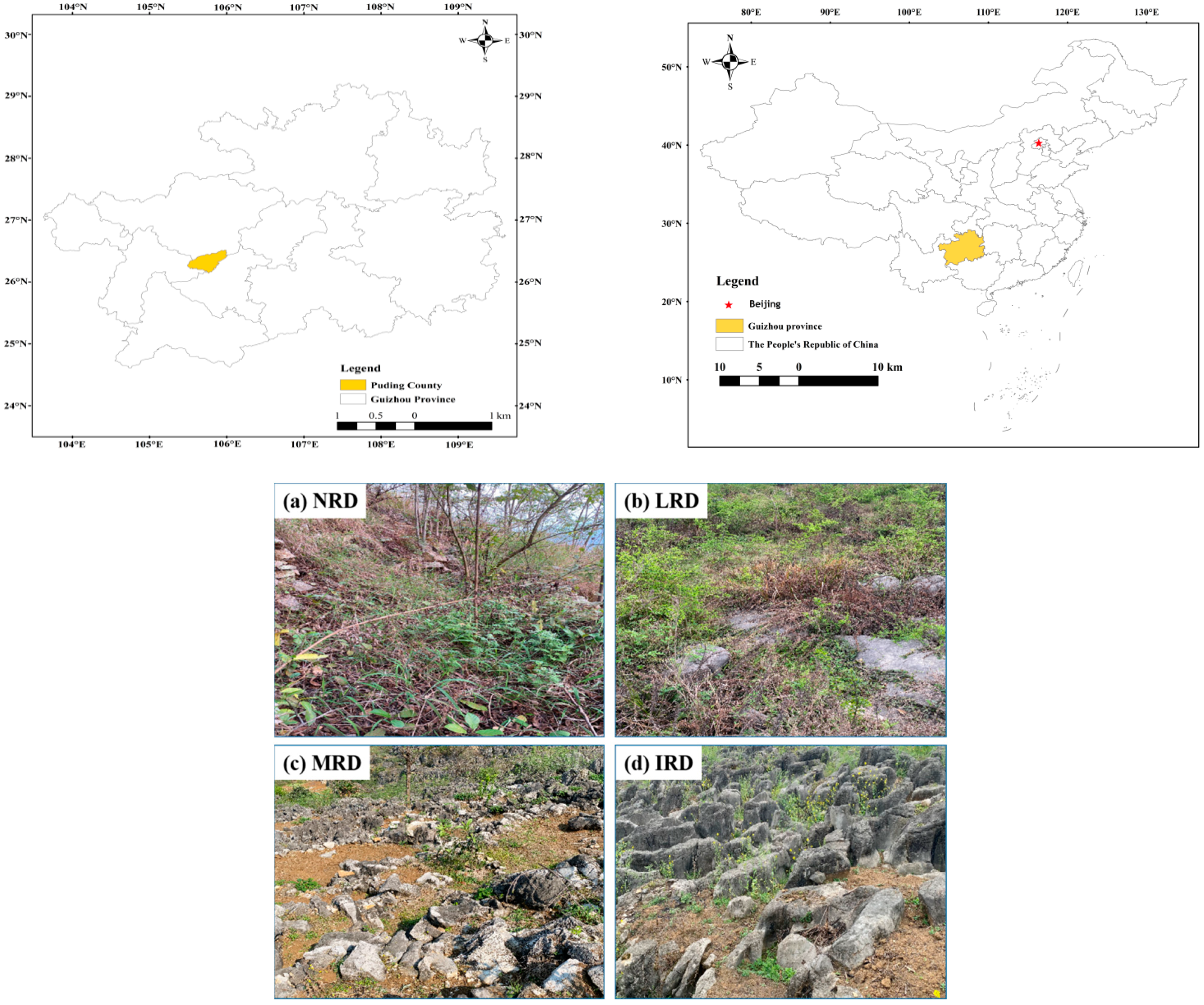 https://pub.mdpi-res.com/forests/forests-13-01513/article_deploy/html/images/forests-13-01513-g001.png?1663565982