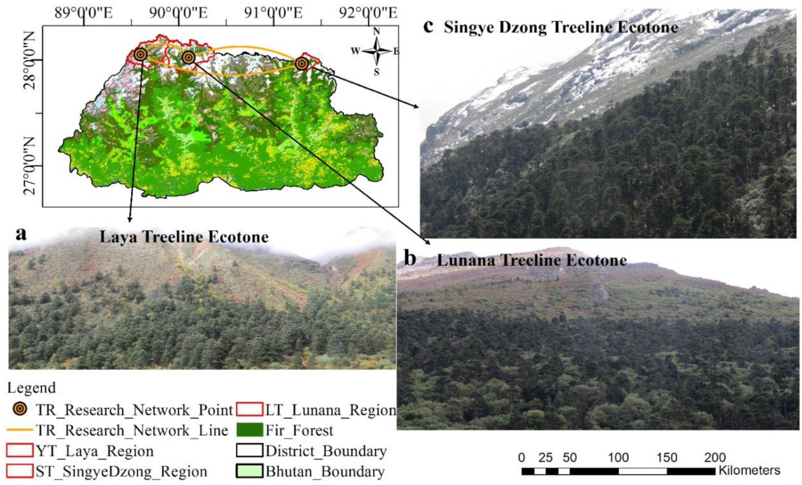 Frontiers | Wood Formation Modeling – A Research Review and Future  Perspectives